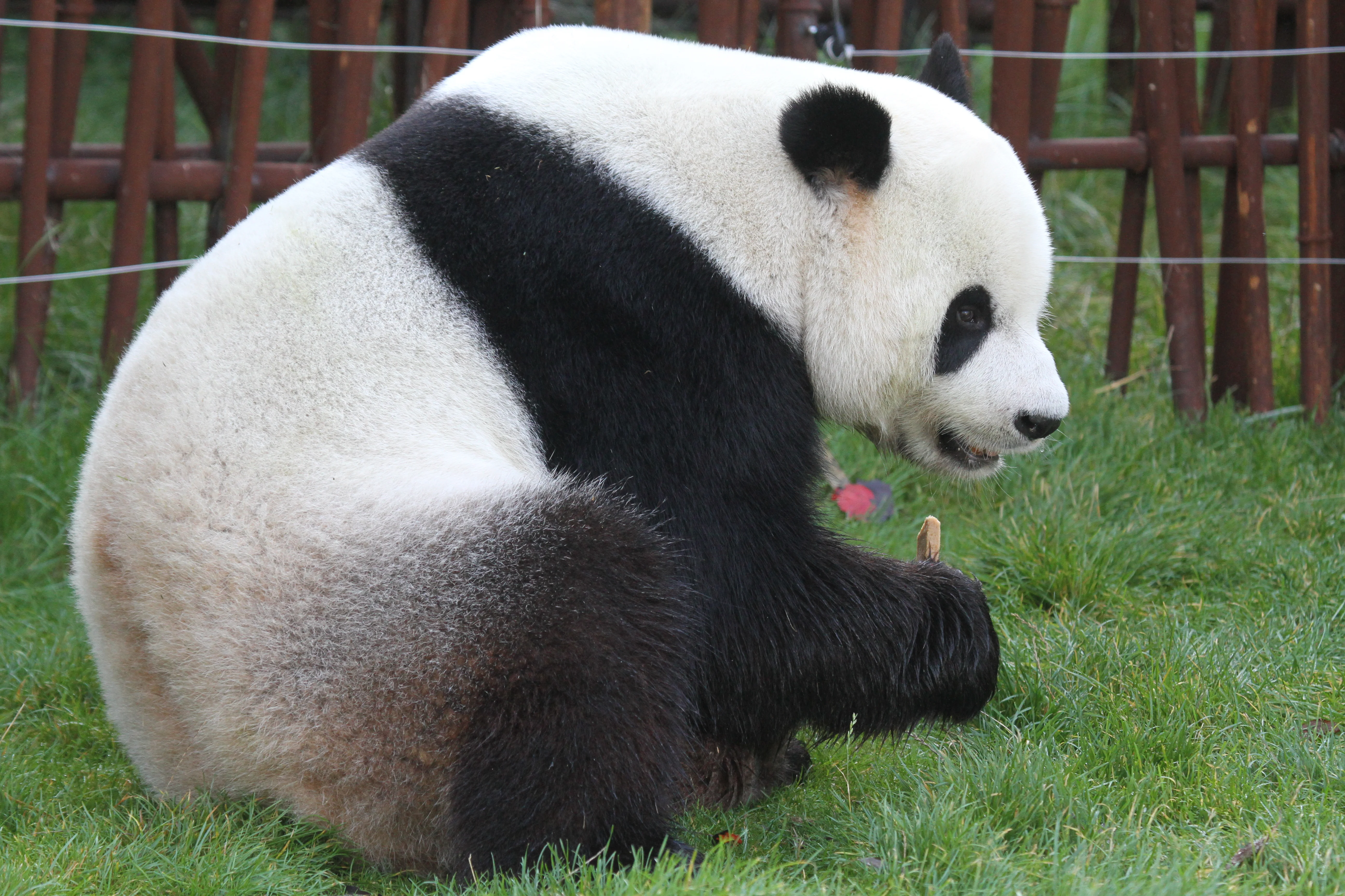 Pairi Daiza