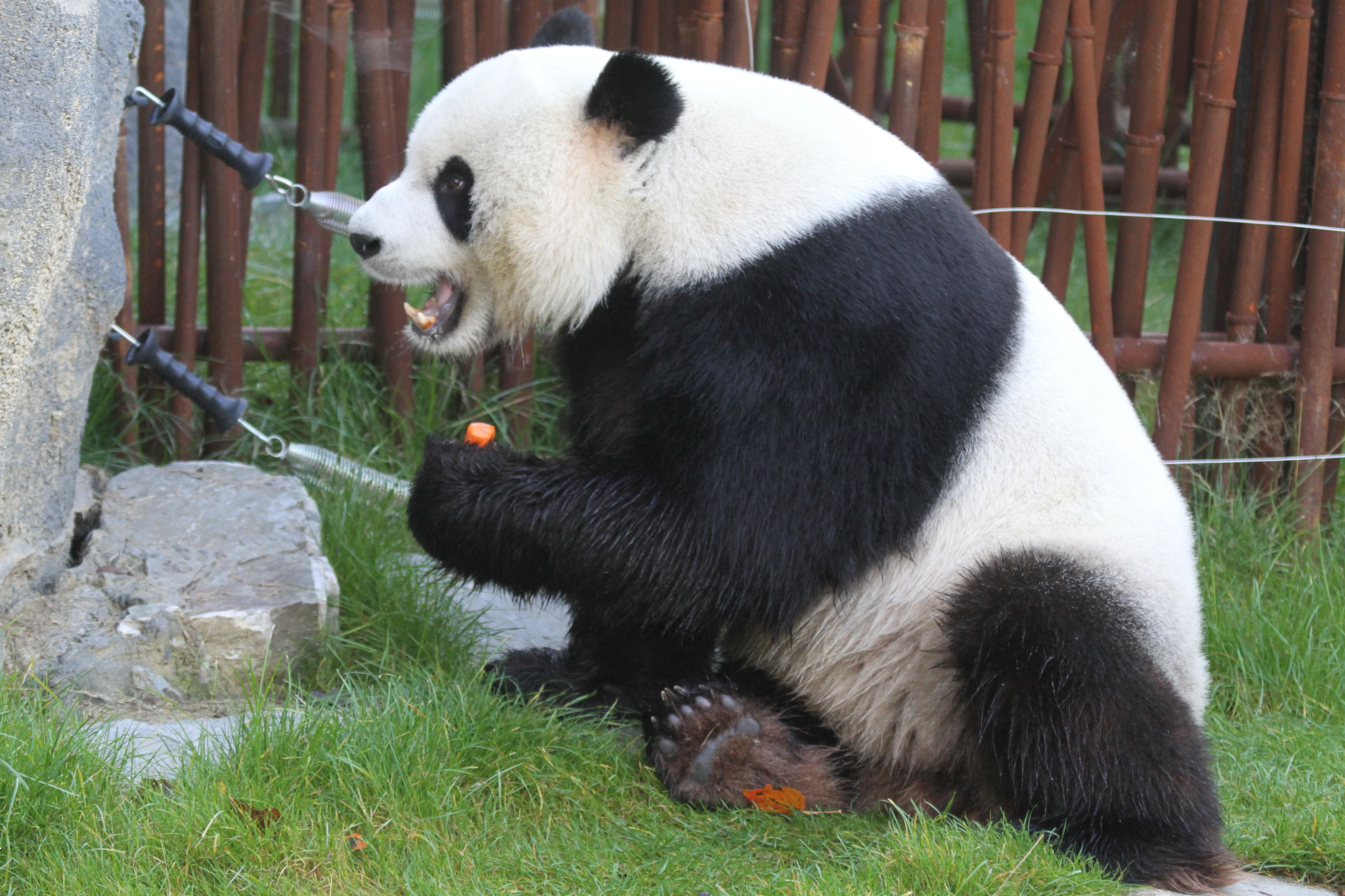 Pairi Daiza
