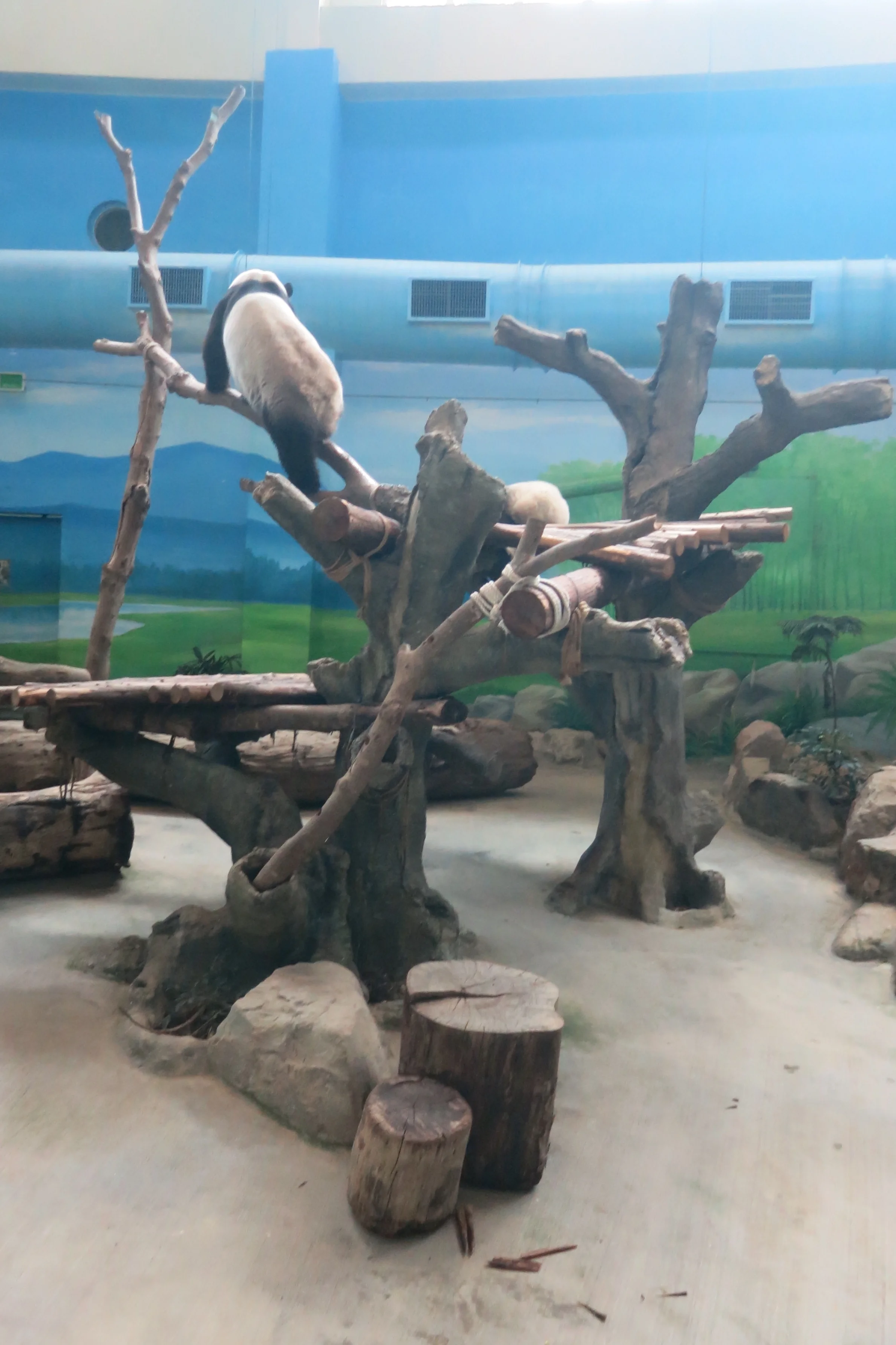 Taipei Zoo