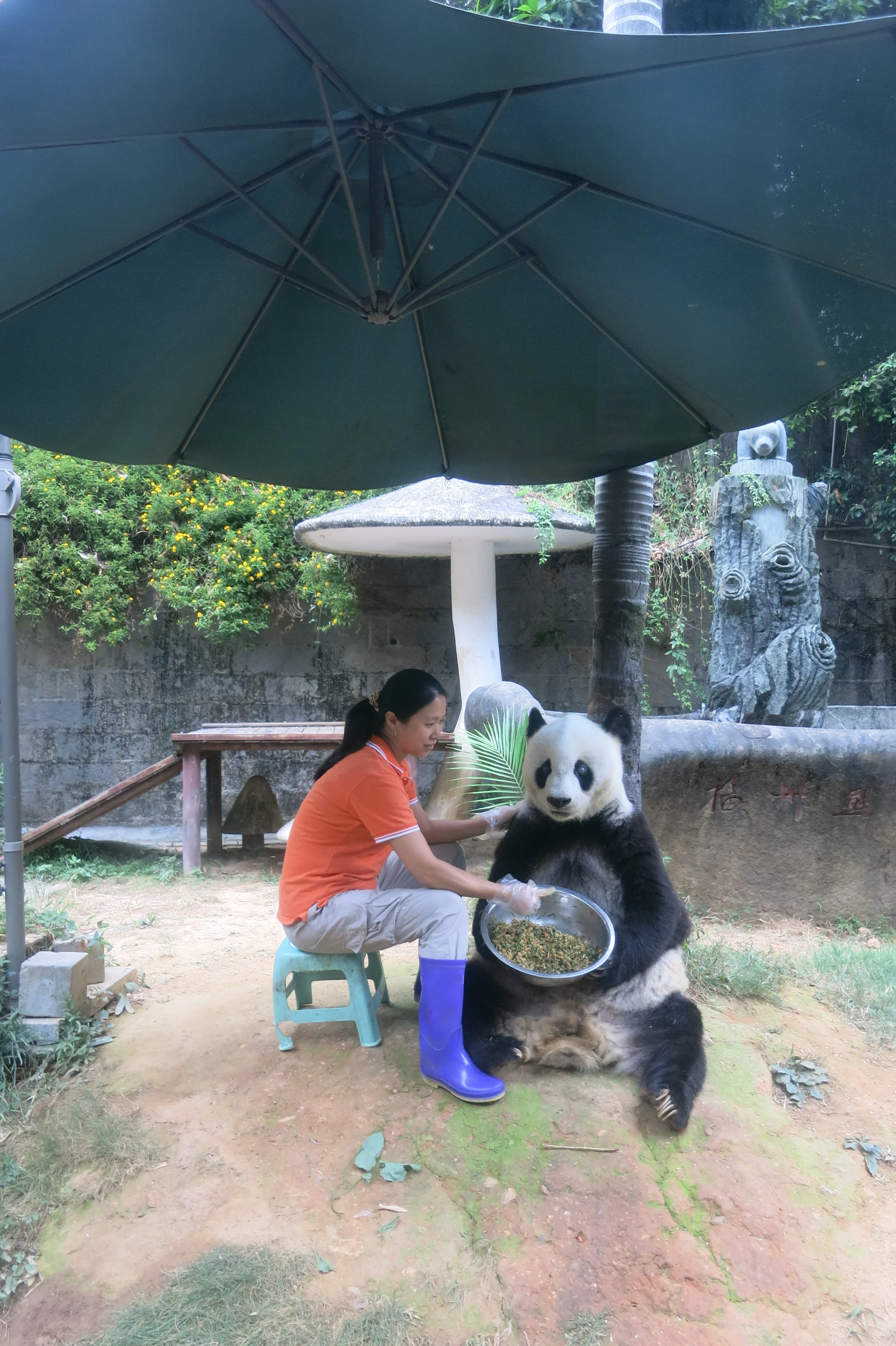 Fuzhou Panda World