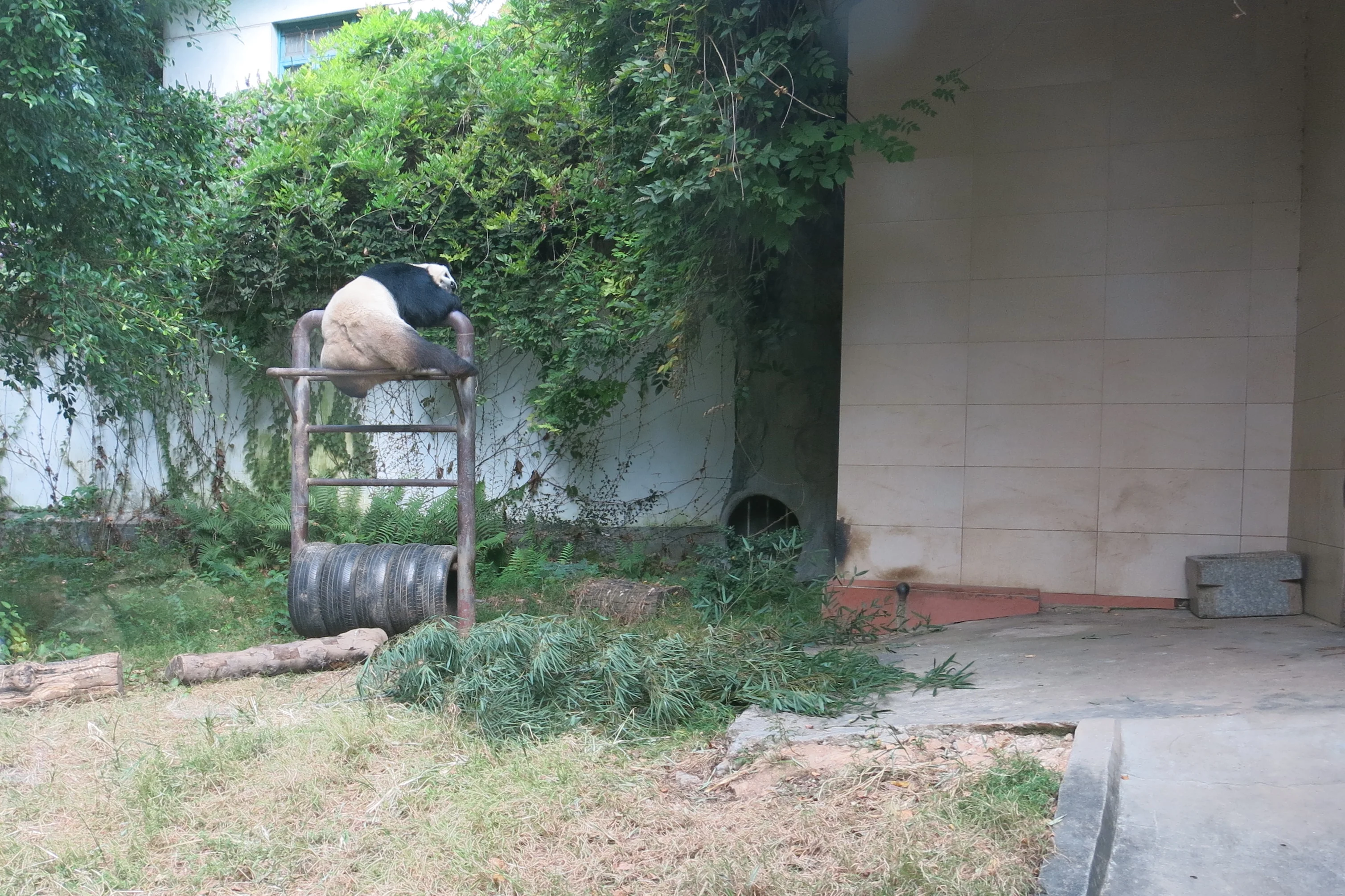 Fuzhou Panda World