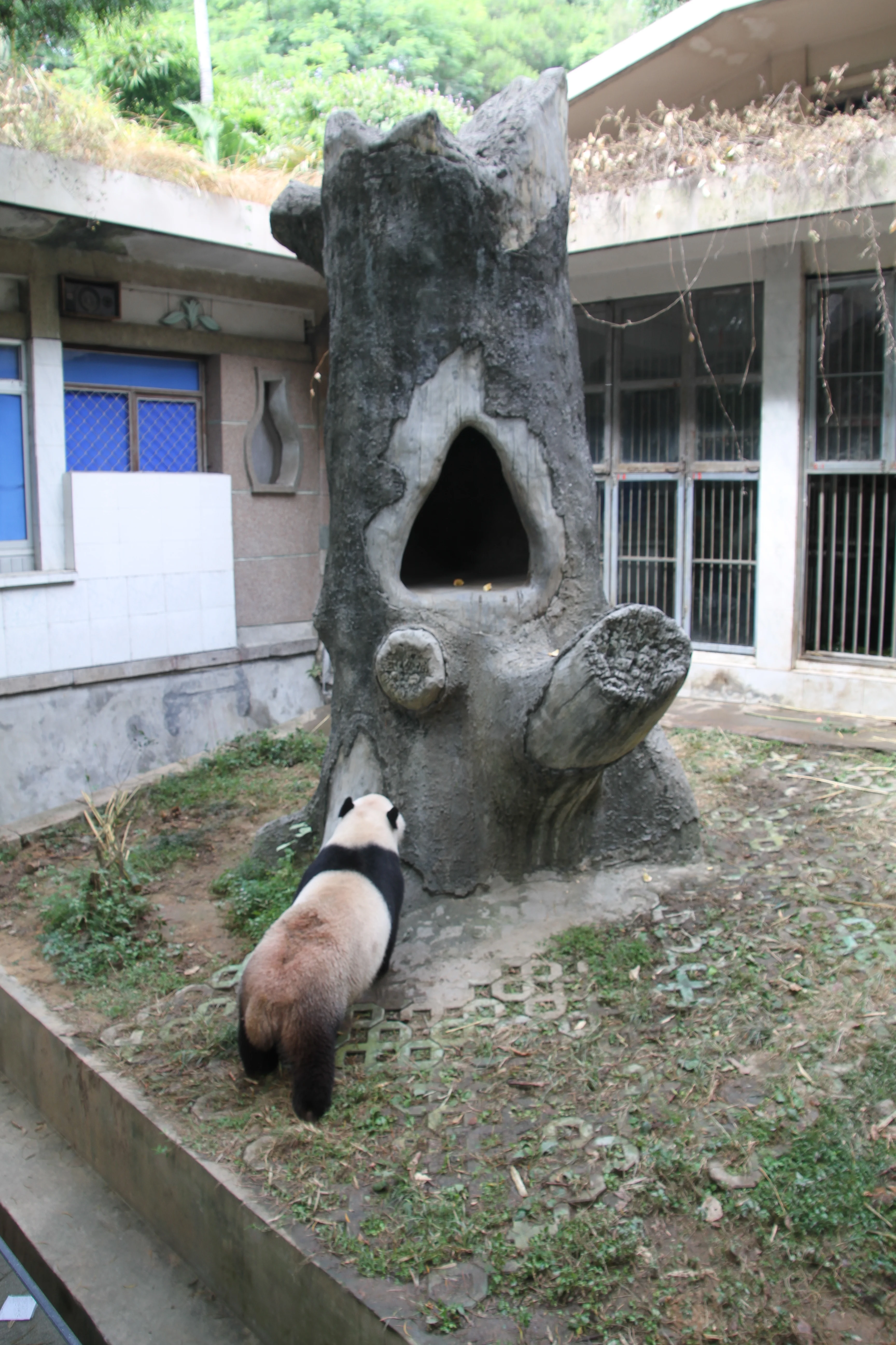 Fuzhou Panda World