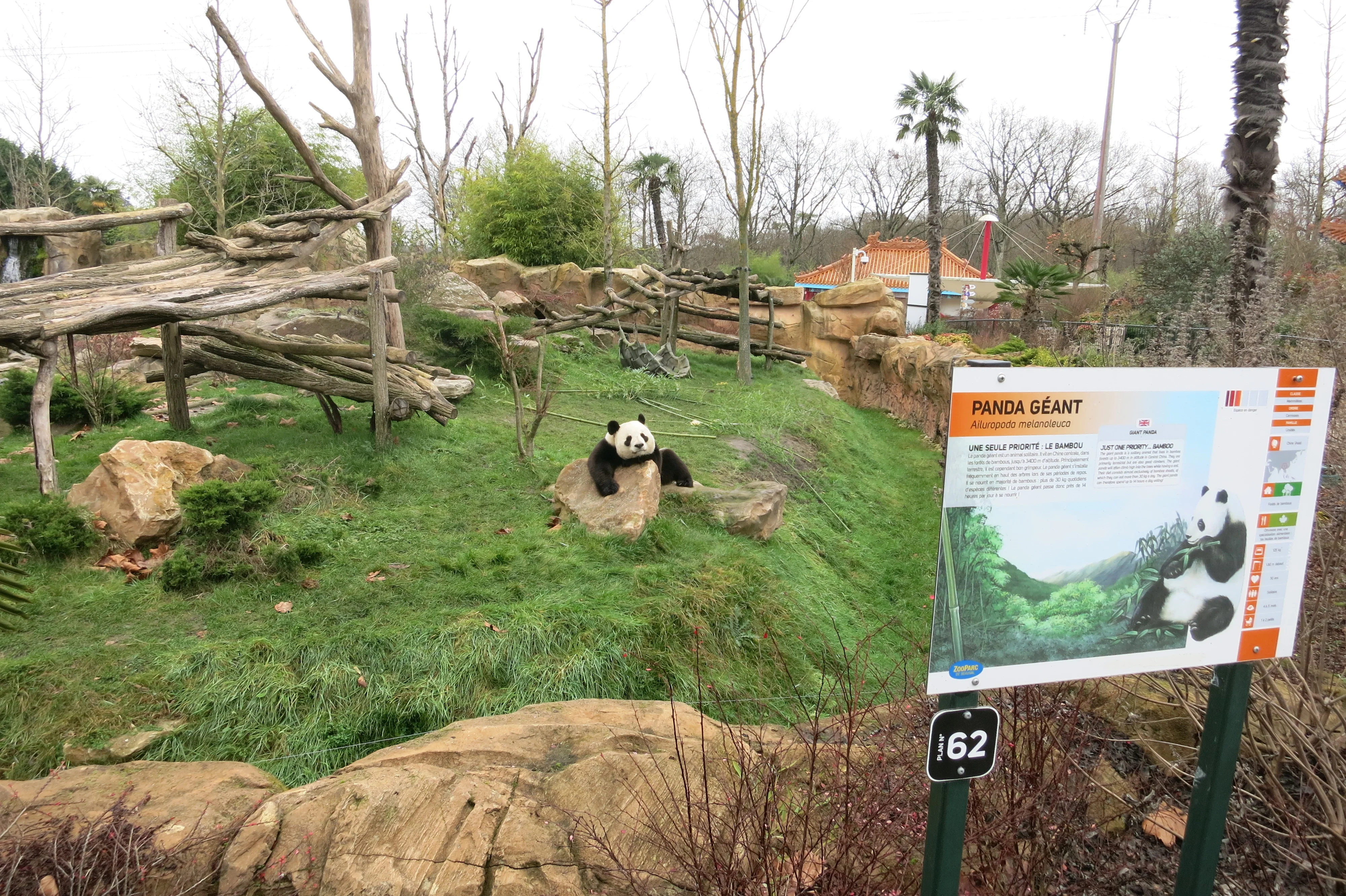ZooParc de Beauval