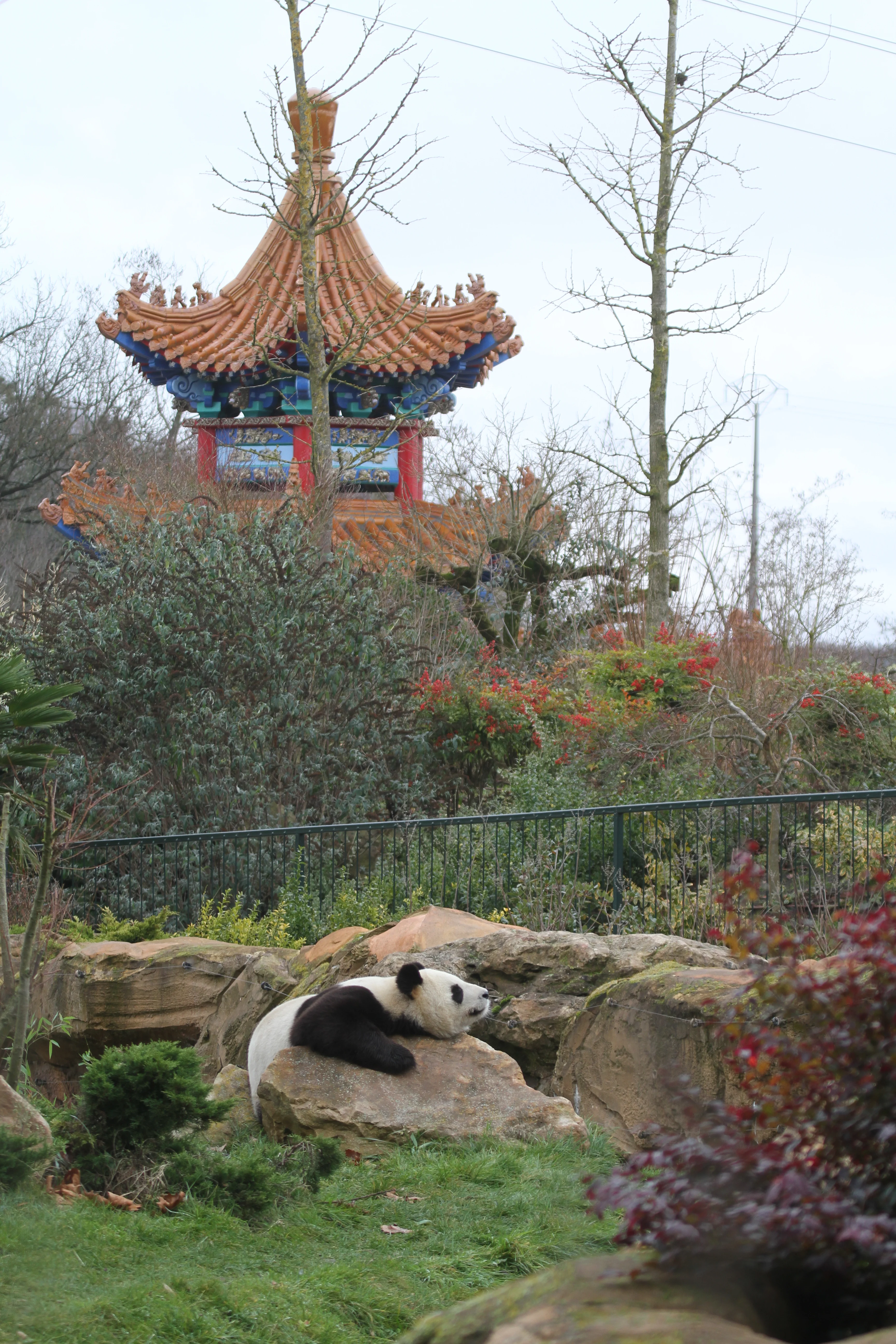ZooParc de Beauval