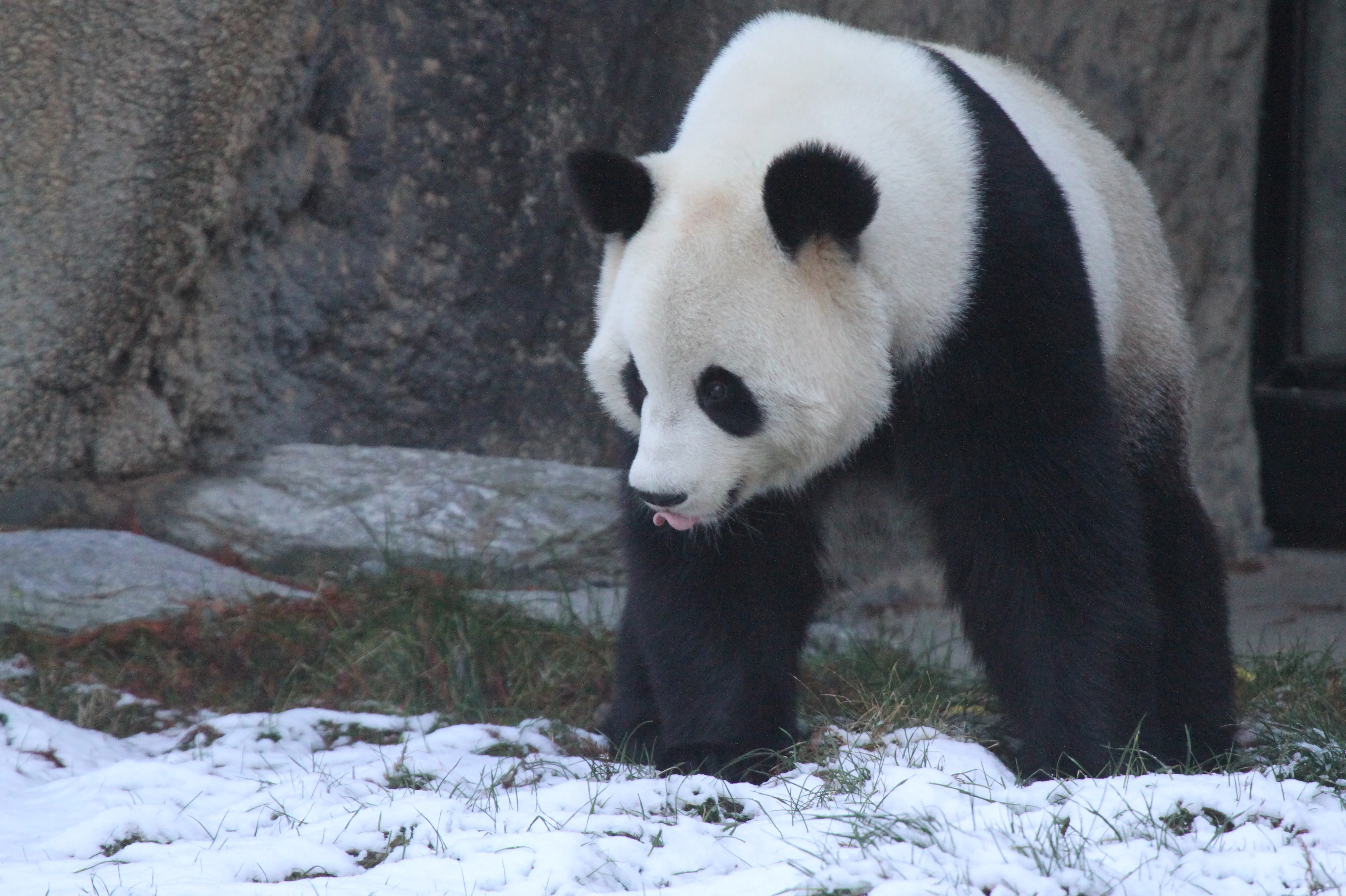 Pairi Daiza