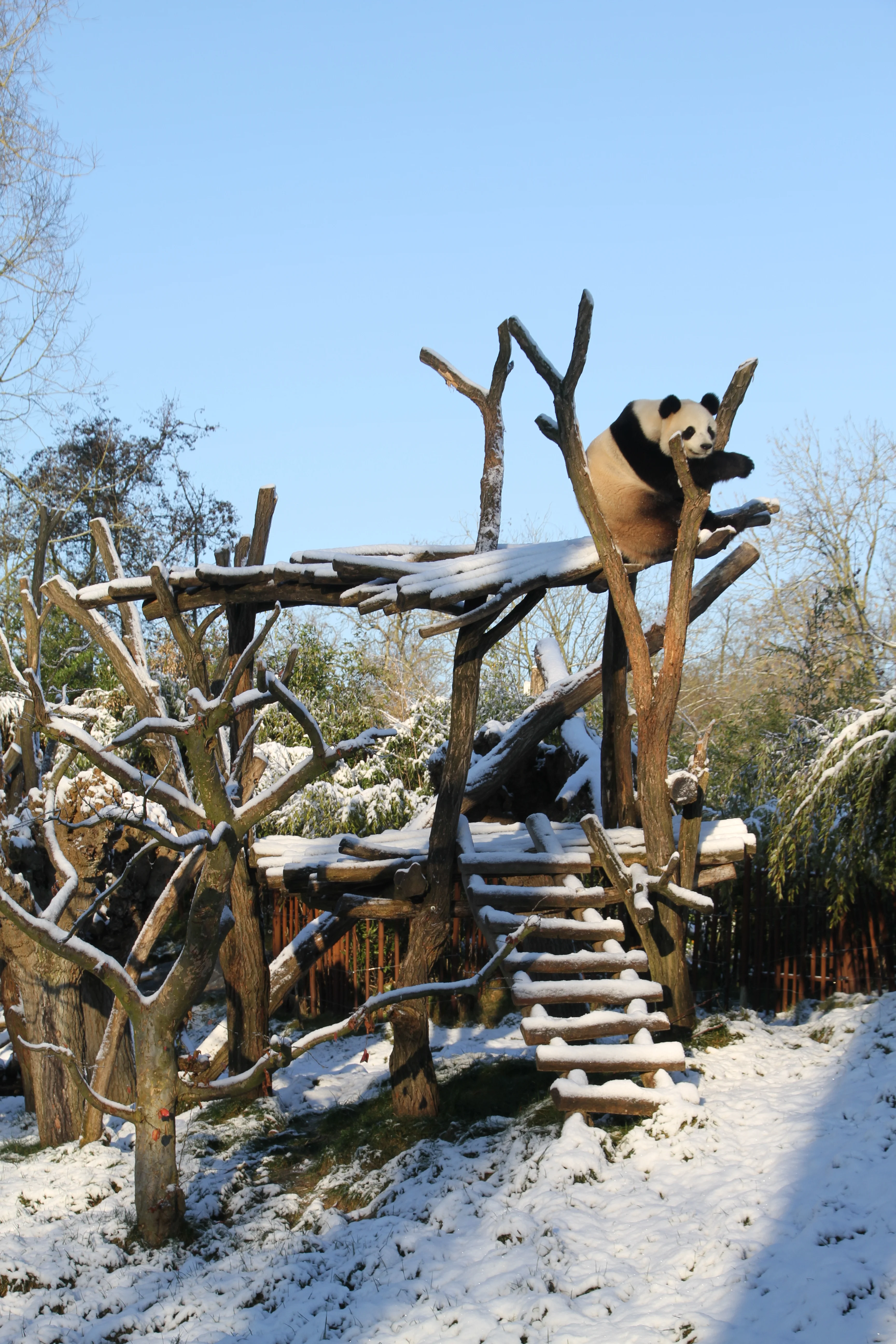 Pairi Daiza