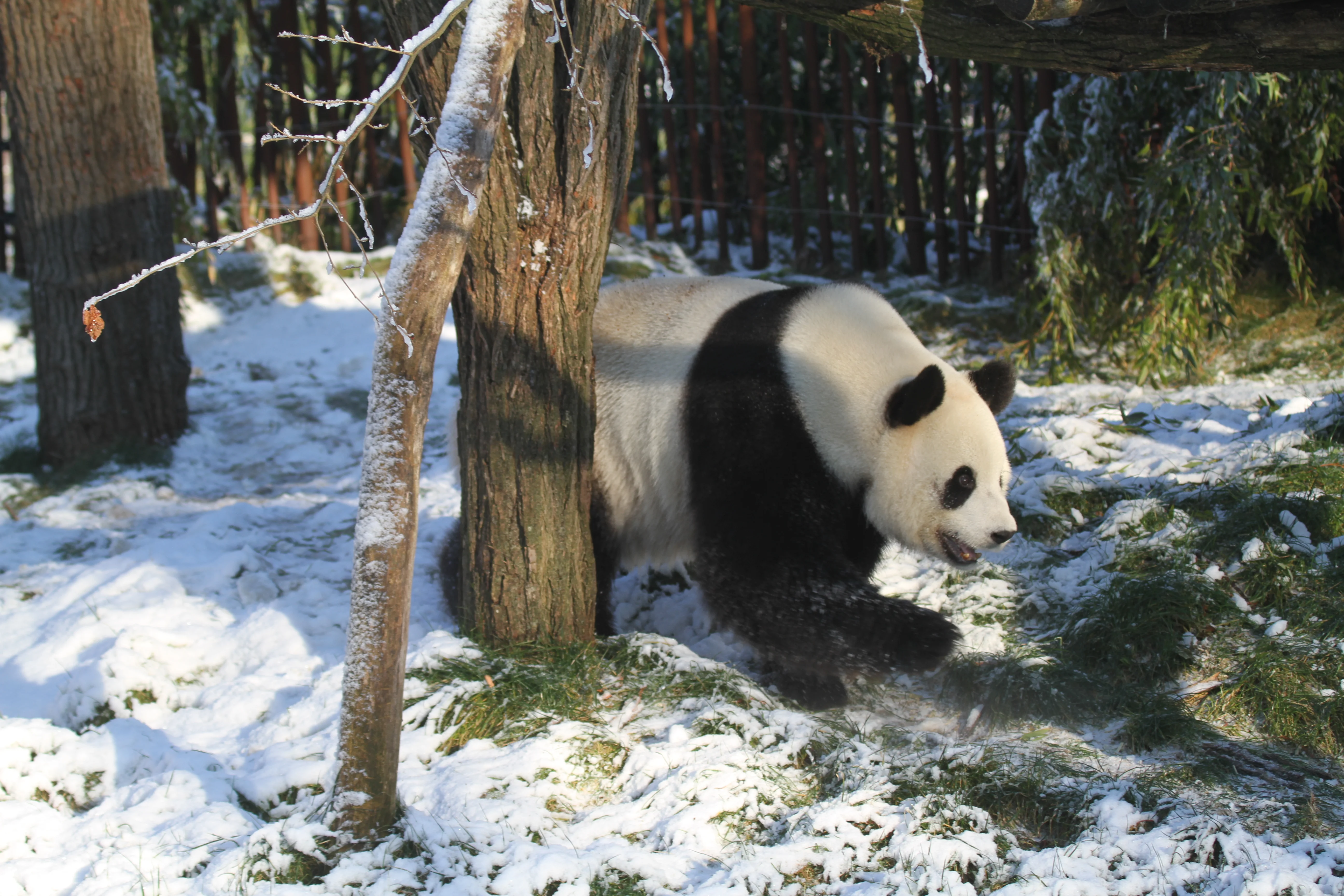 Pairi Daiza