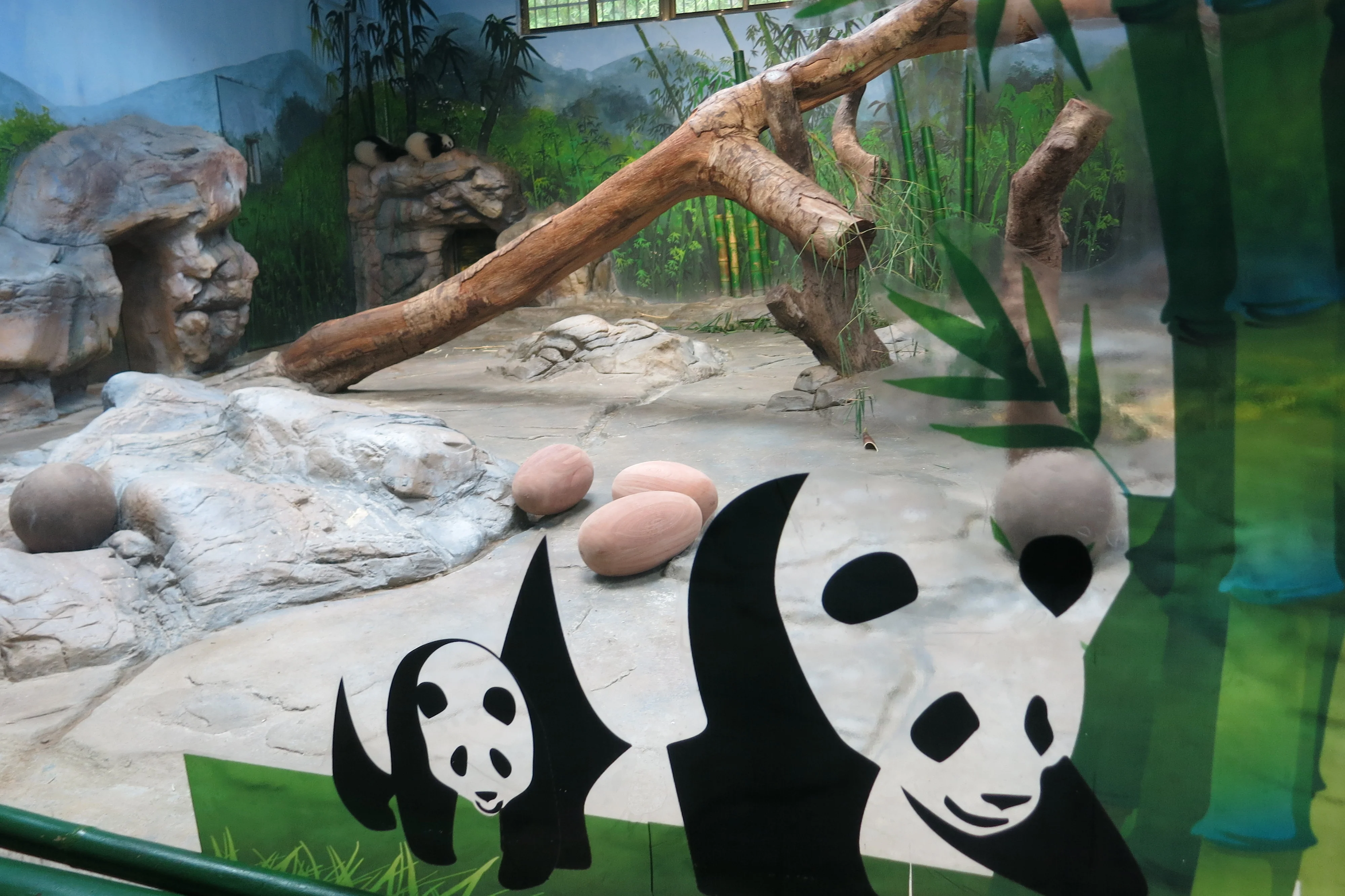 Chimelong Safari Park