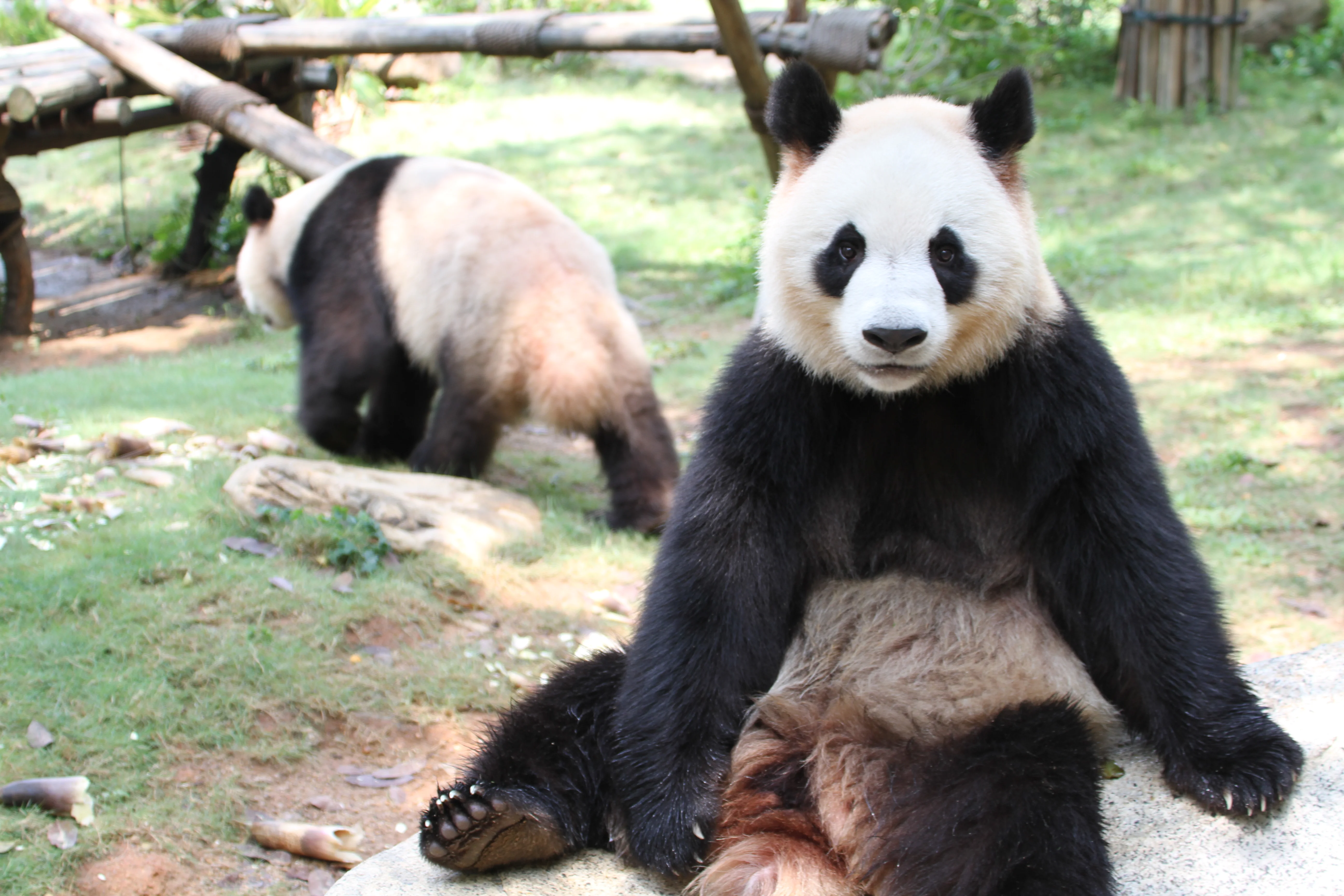 Shenzhen Safari Park