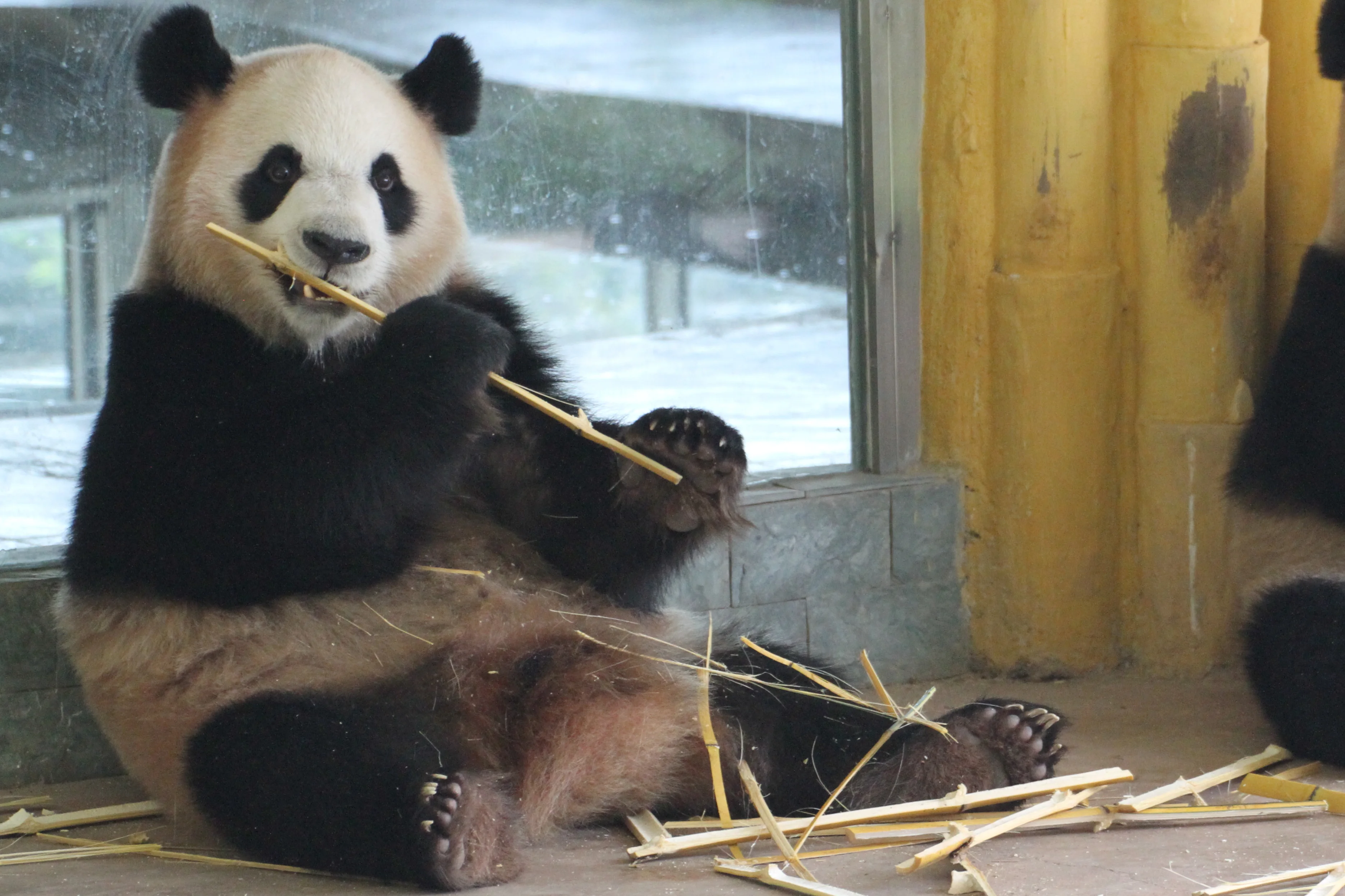 Guangzhou Zoo
