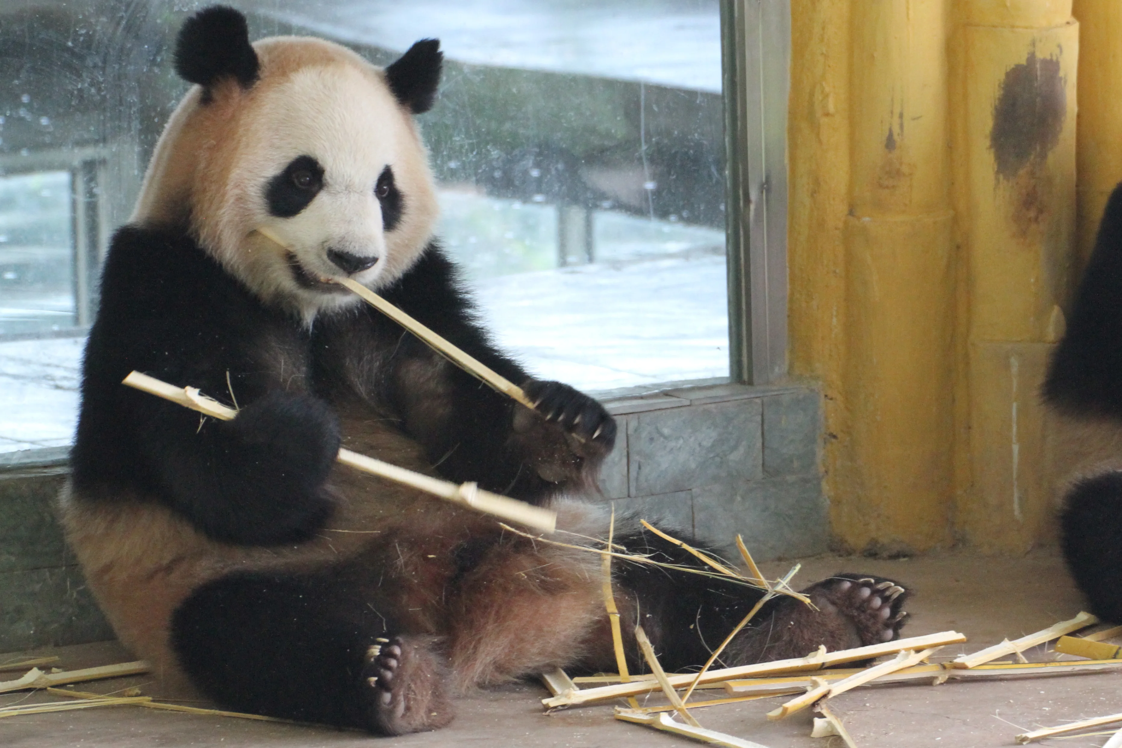 Guangzhou Zoo