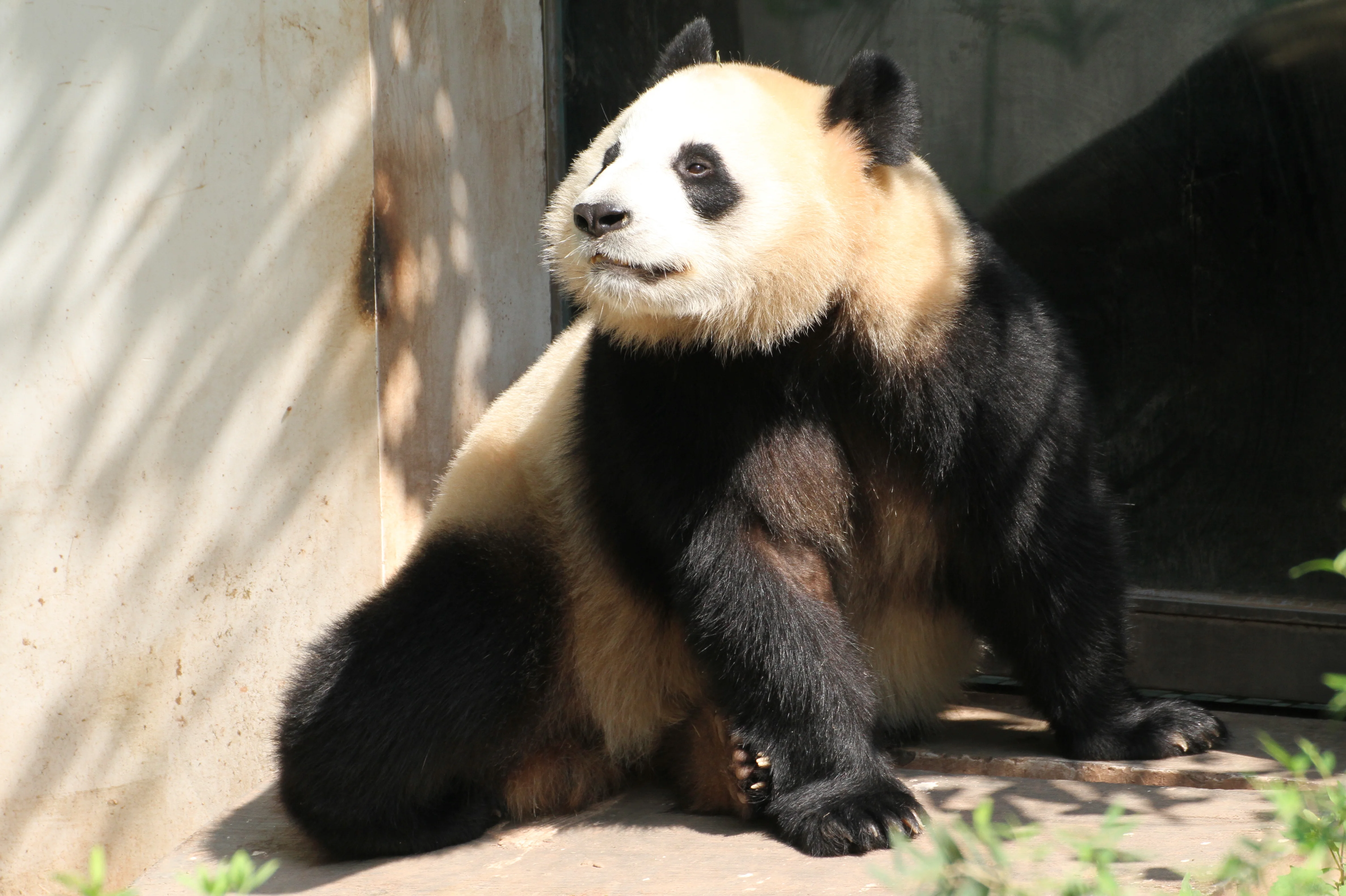 Guangzhou Zoo