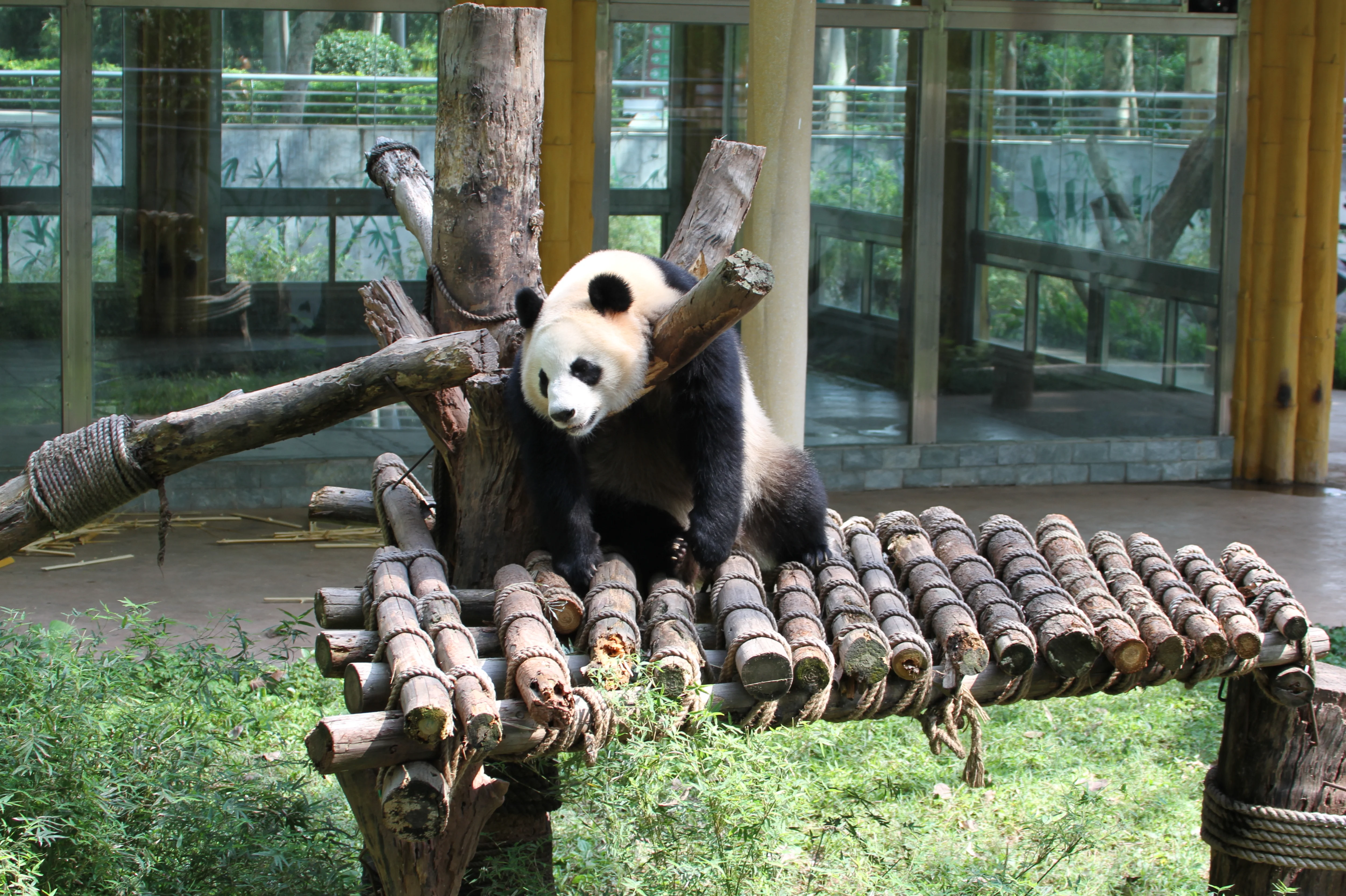 Guangzhou Zoo