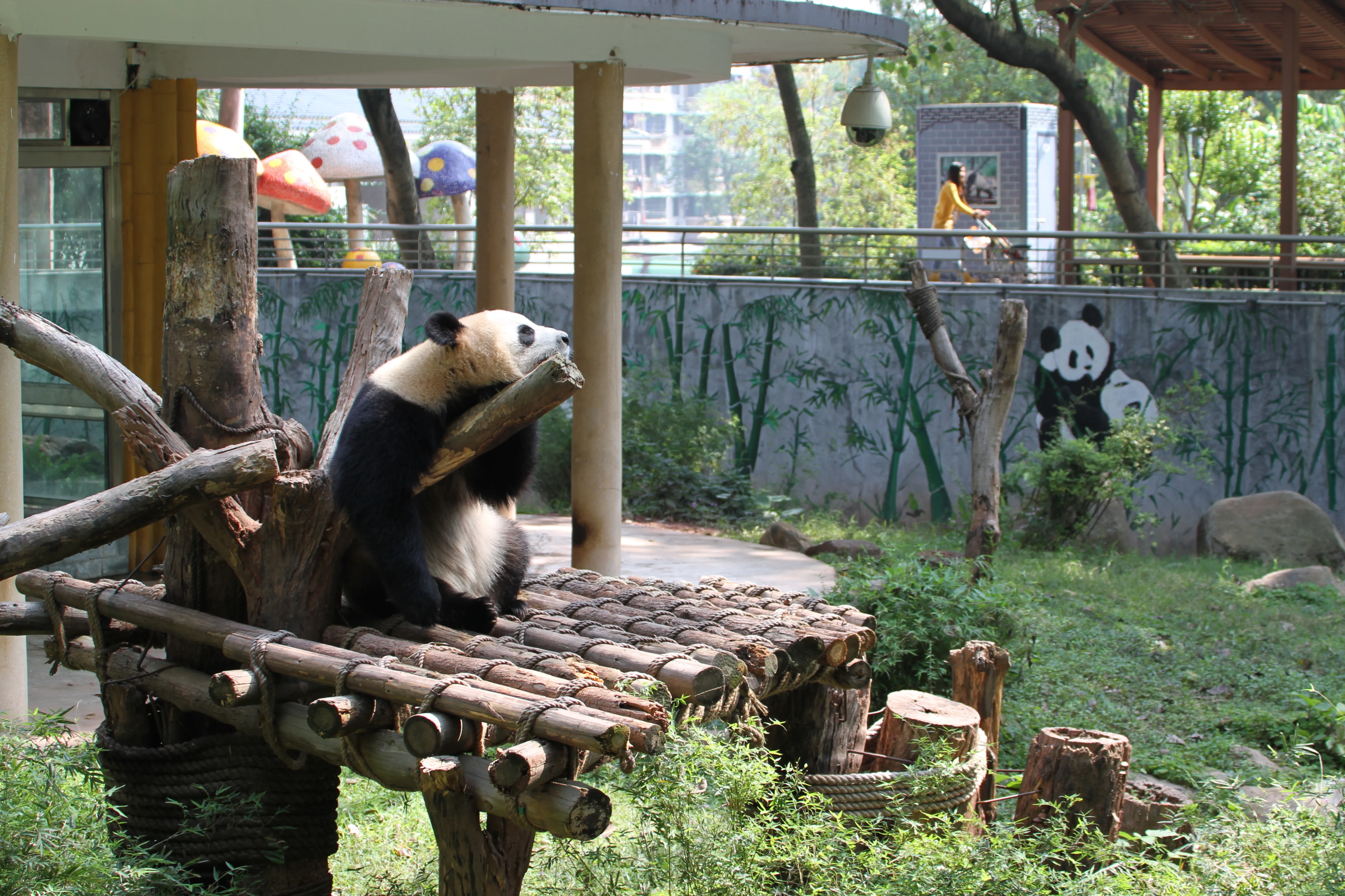 Guangzhou Zoo