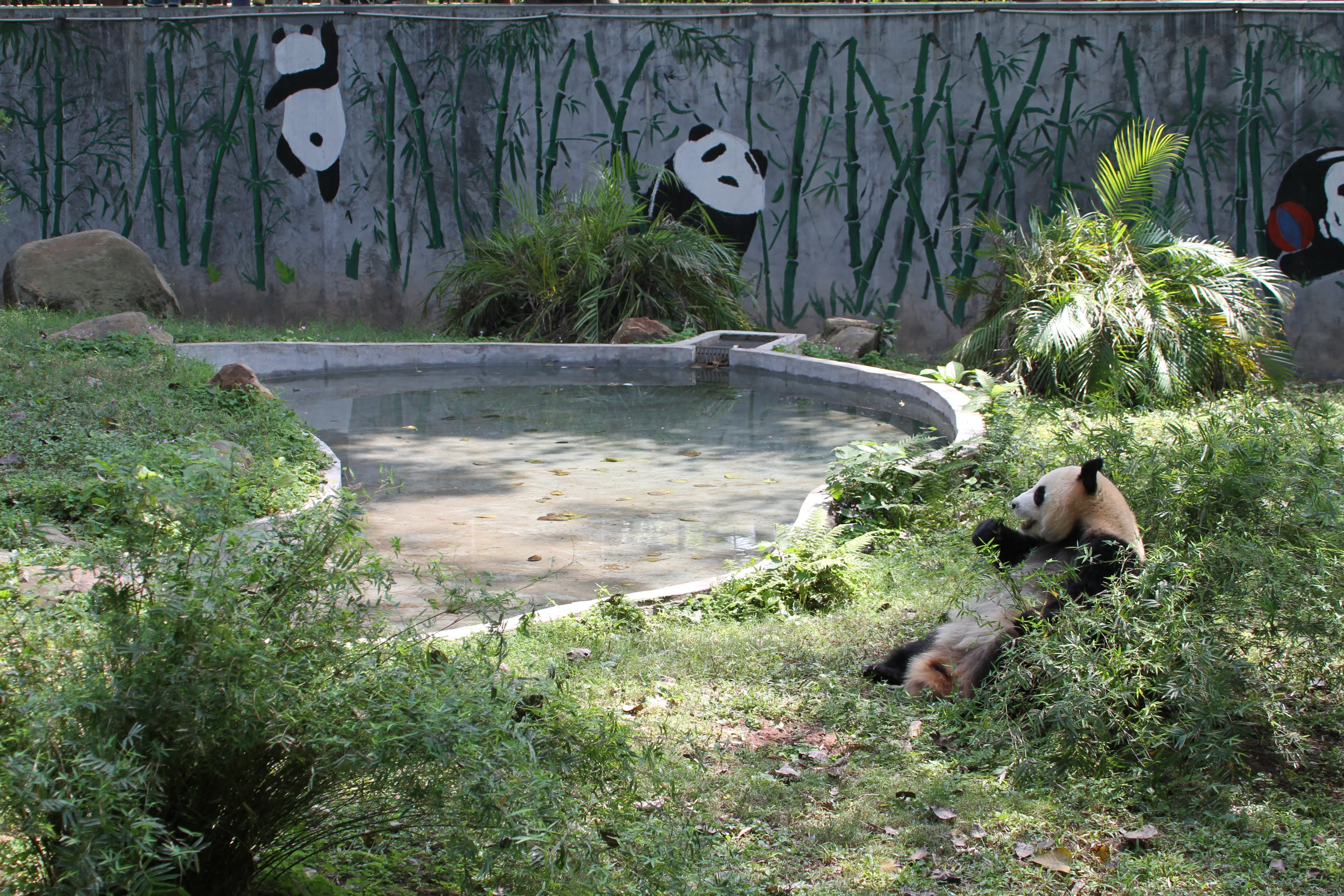 Guangzhou Zoo