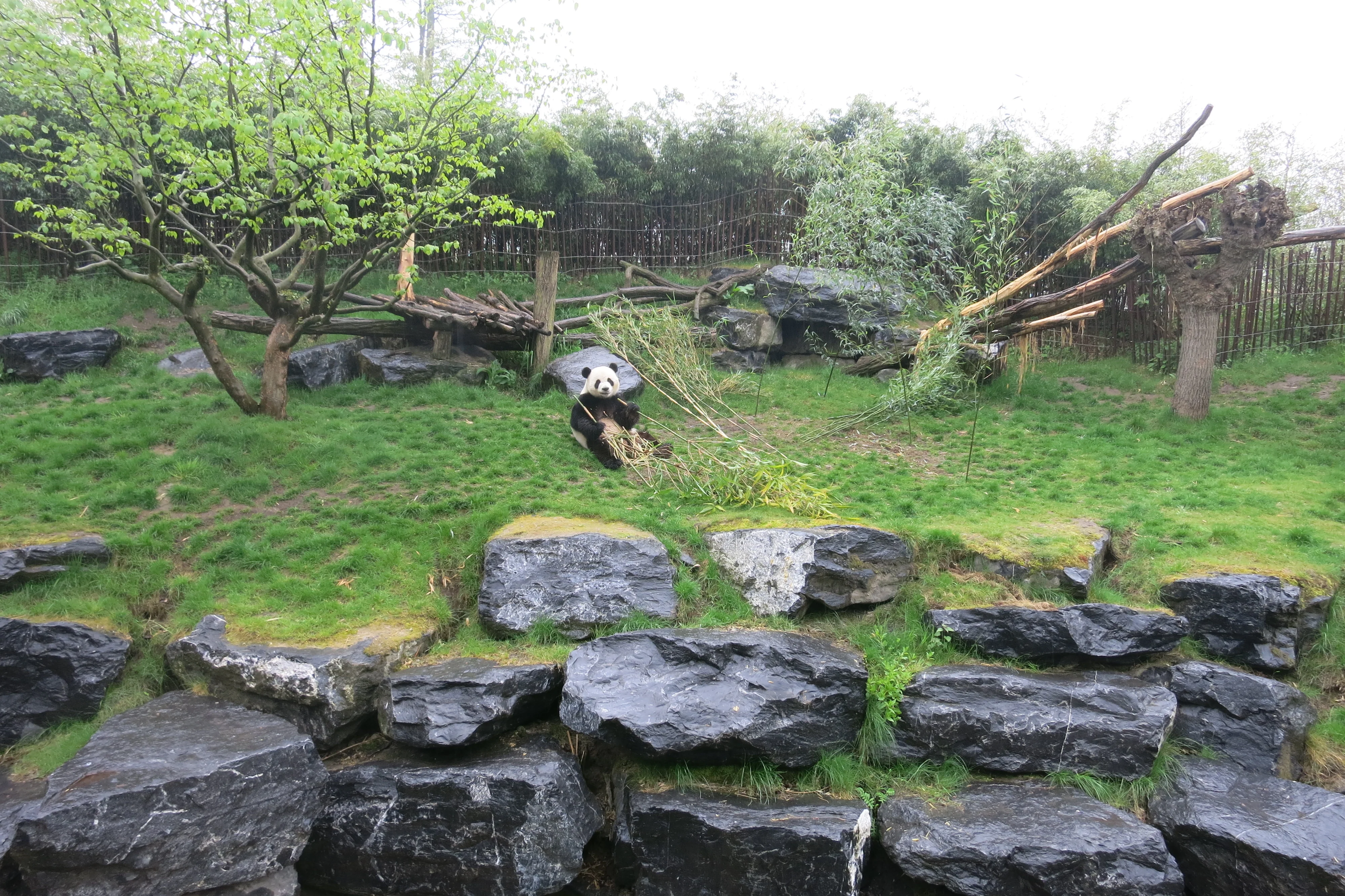 Pairi Daiza
