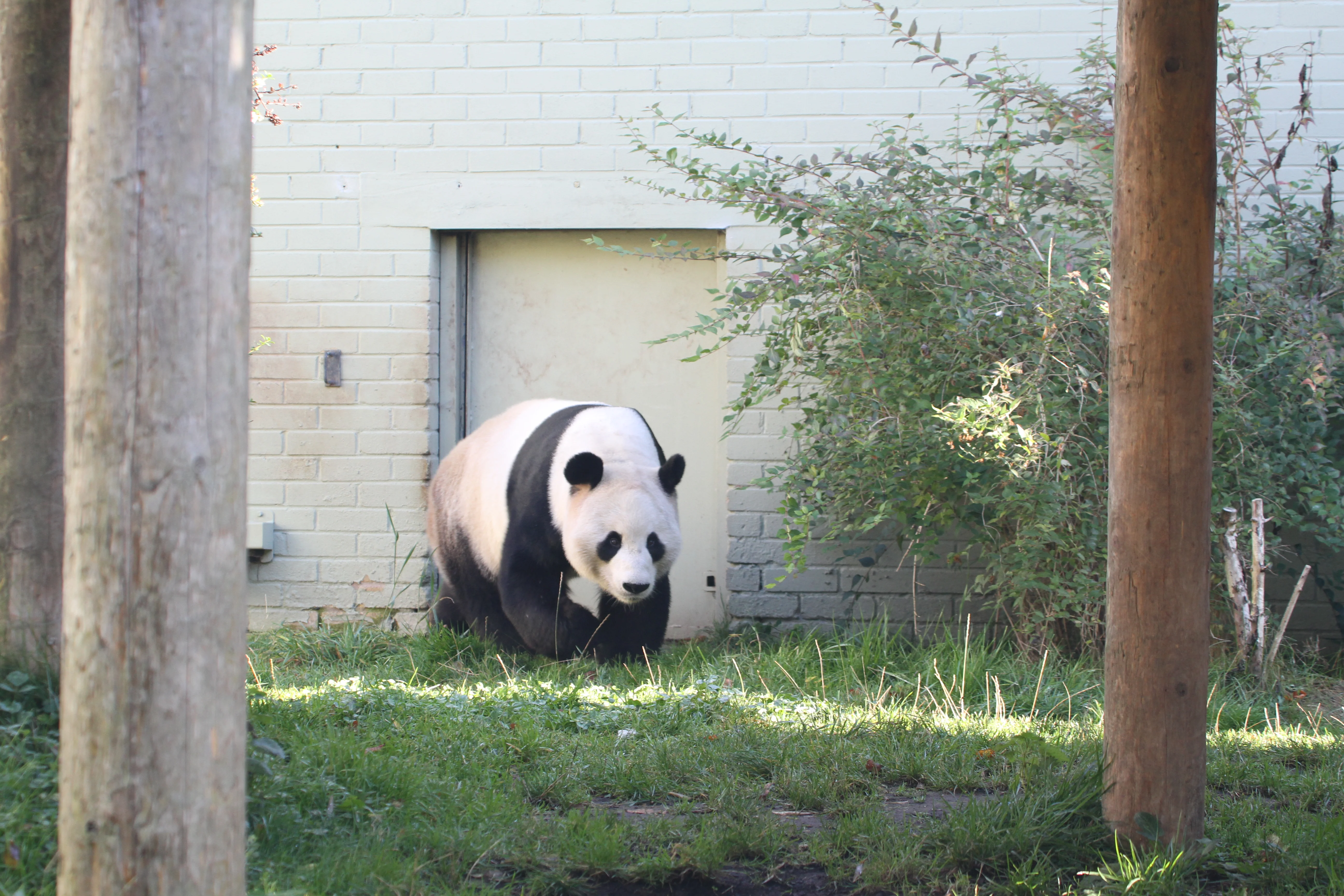 RZSS Edinburgh Zoo