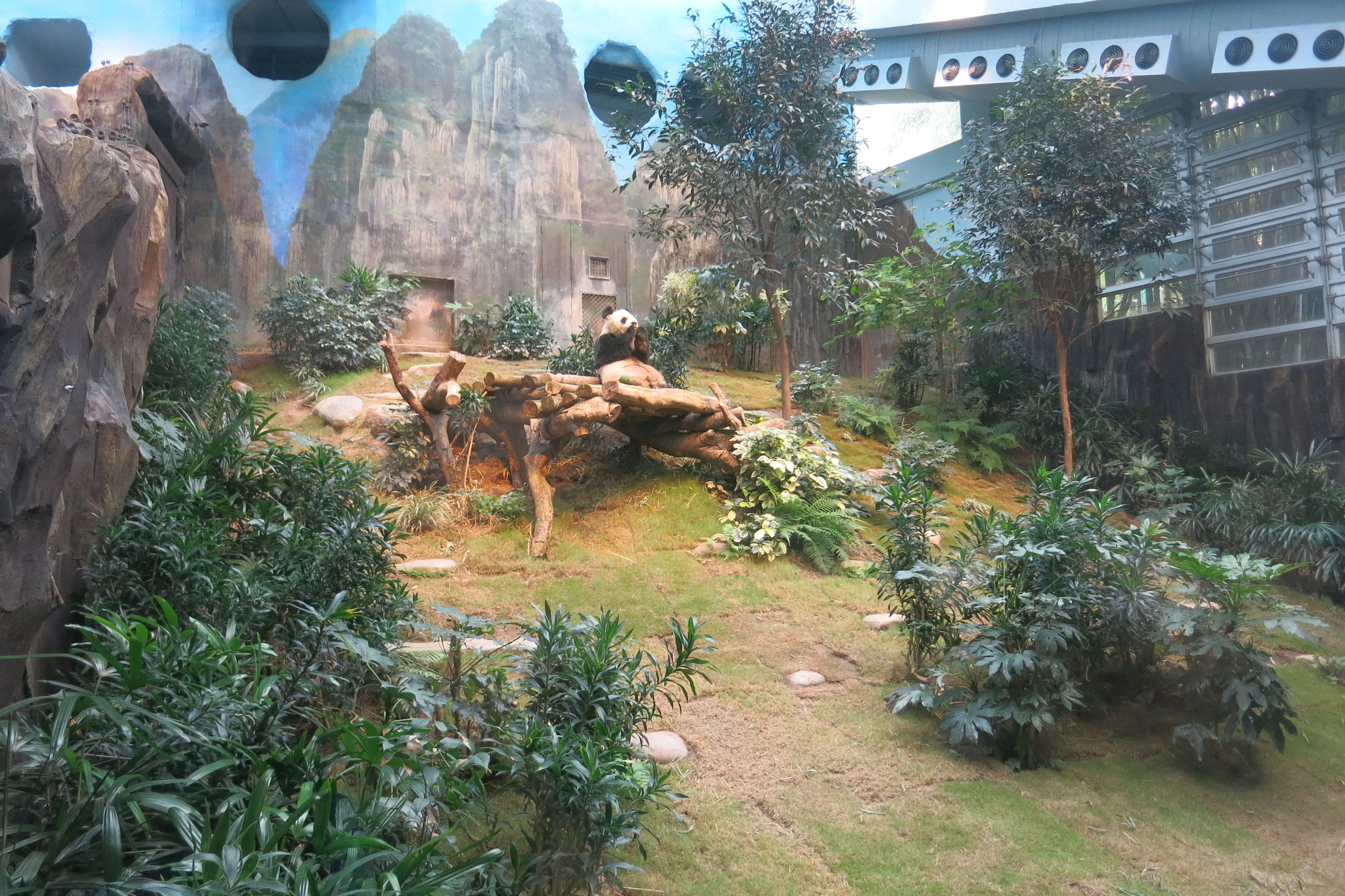 Ocean Park Hong Kong