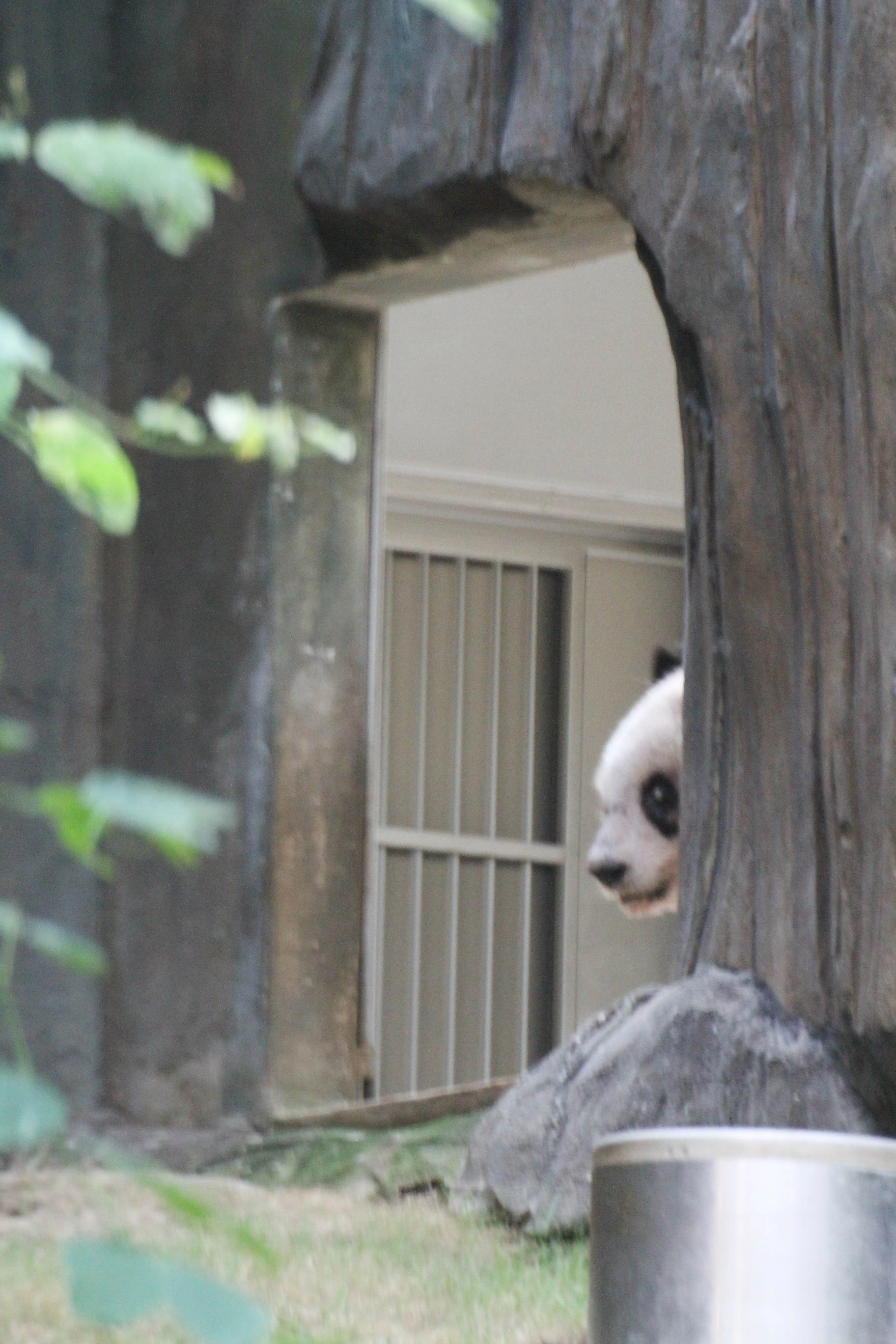 Ocean Park Hong Kong