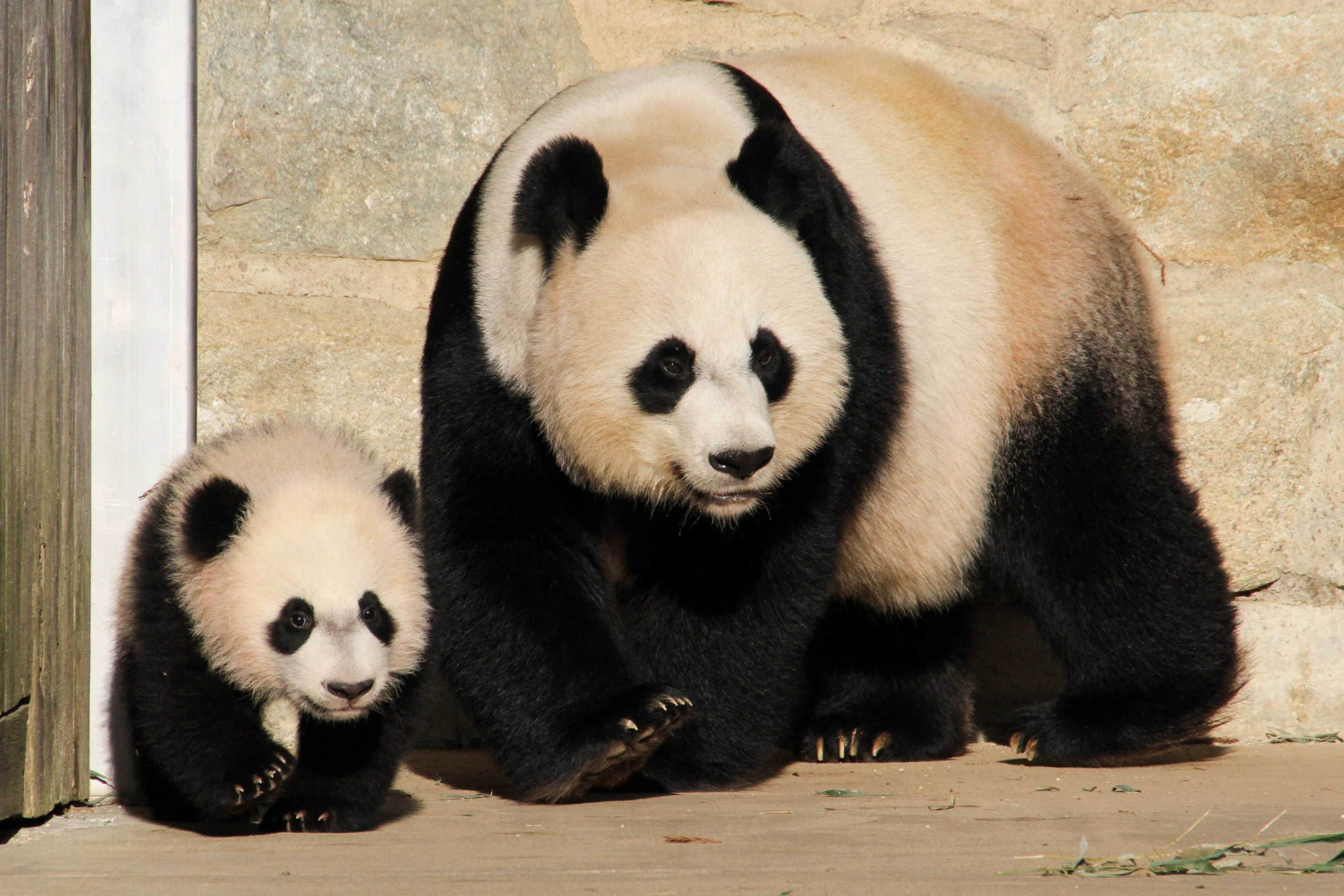 Smithsonian's National Zoo