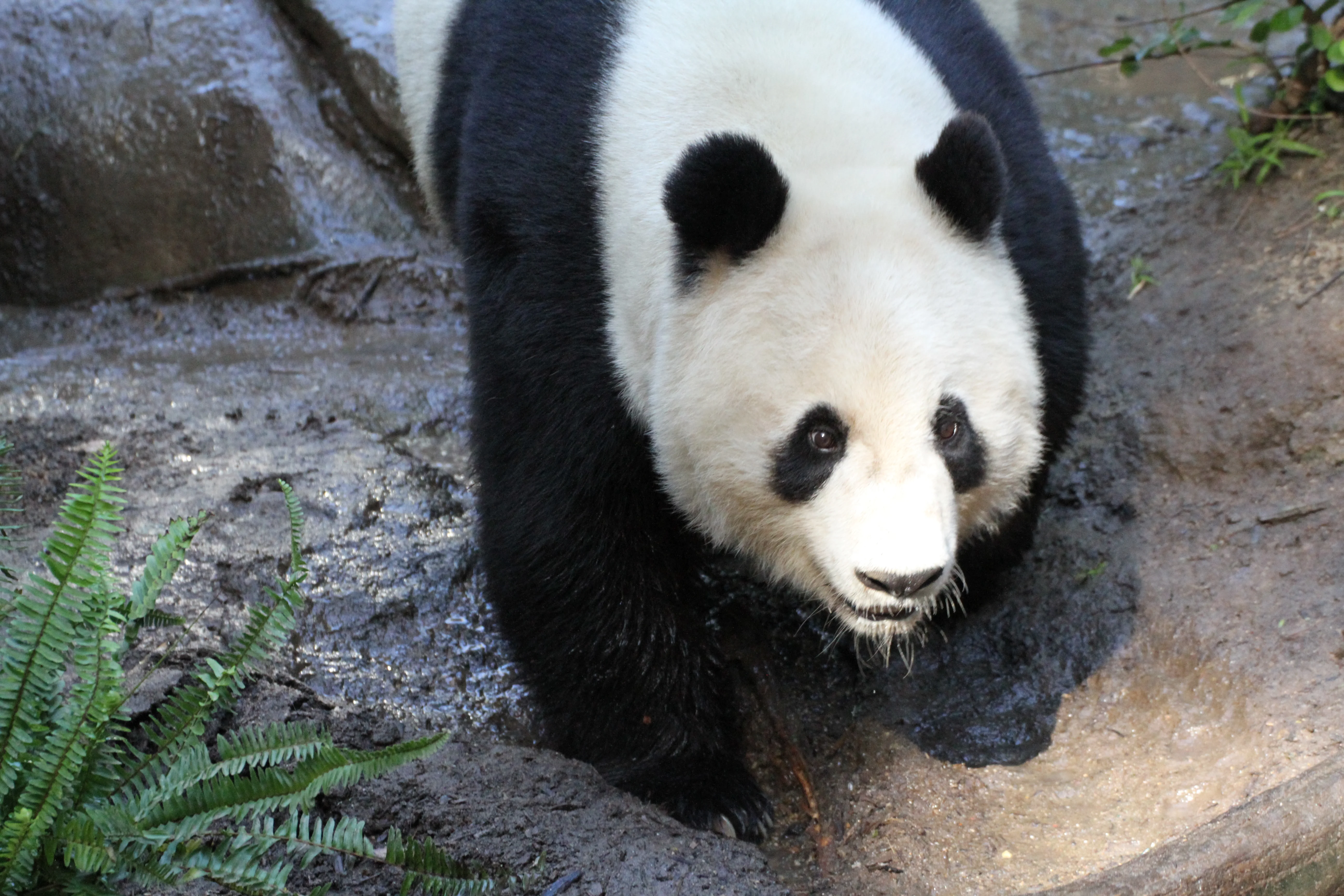 San Diego Zoo