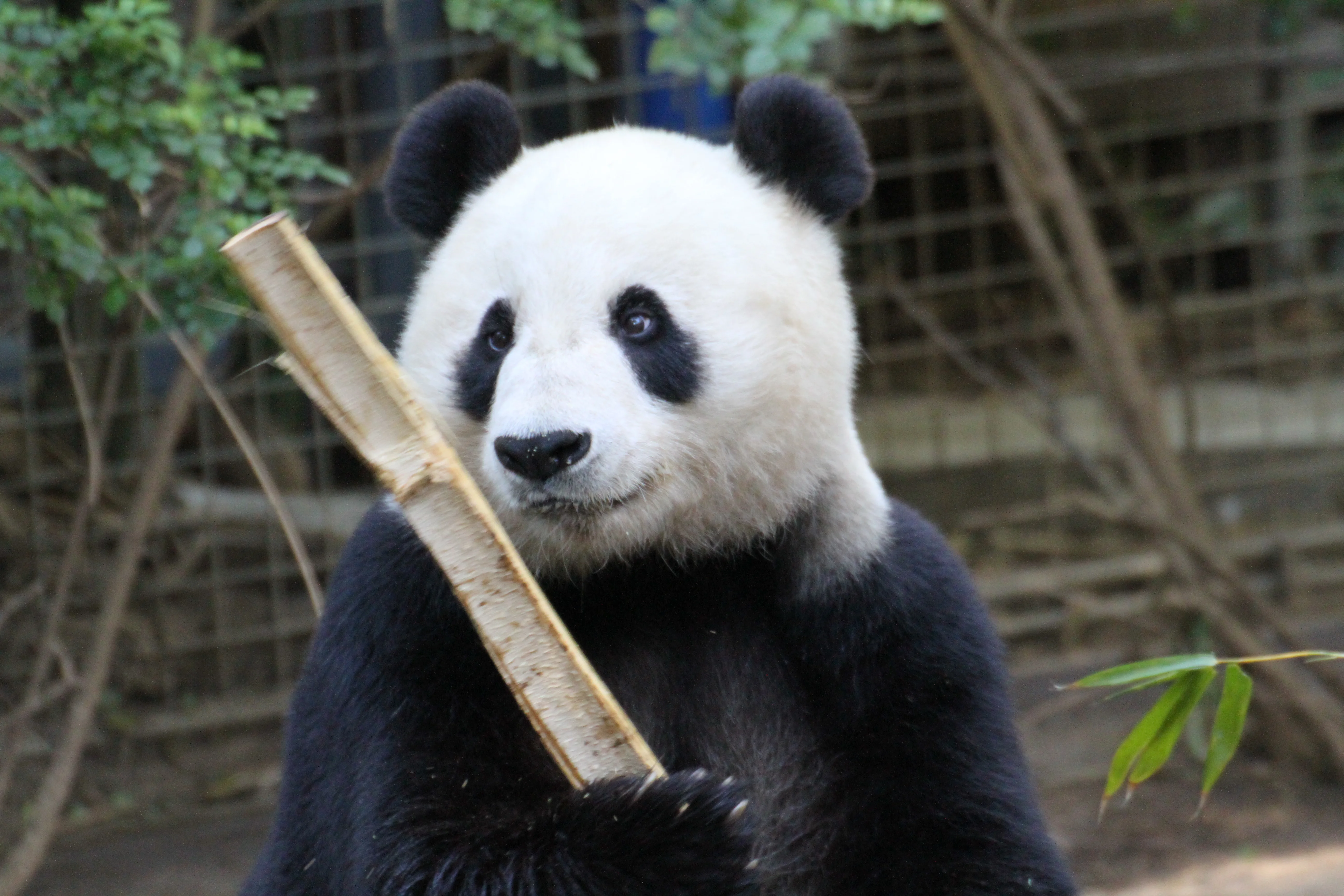 San Diego Zoo