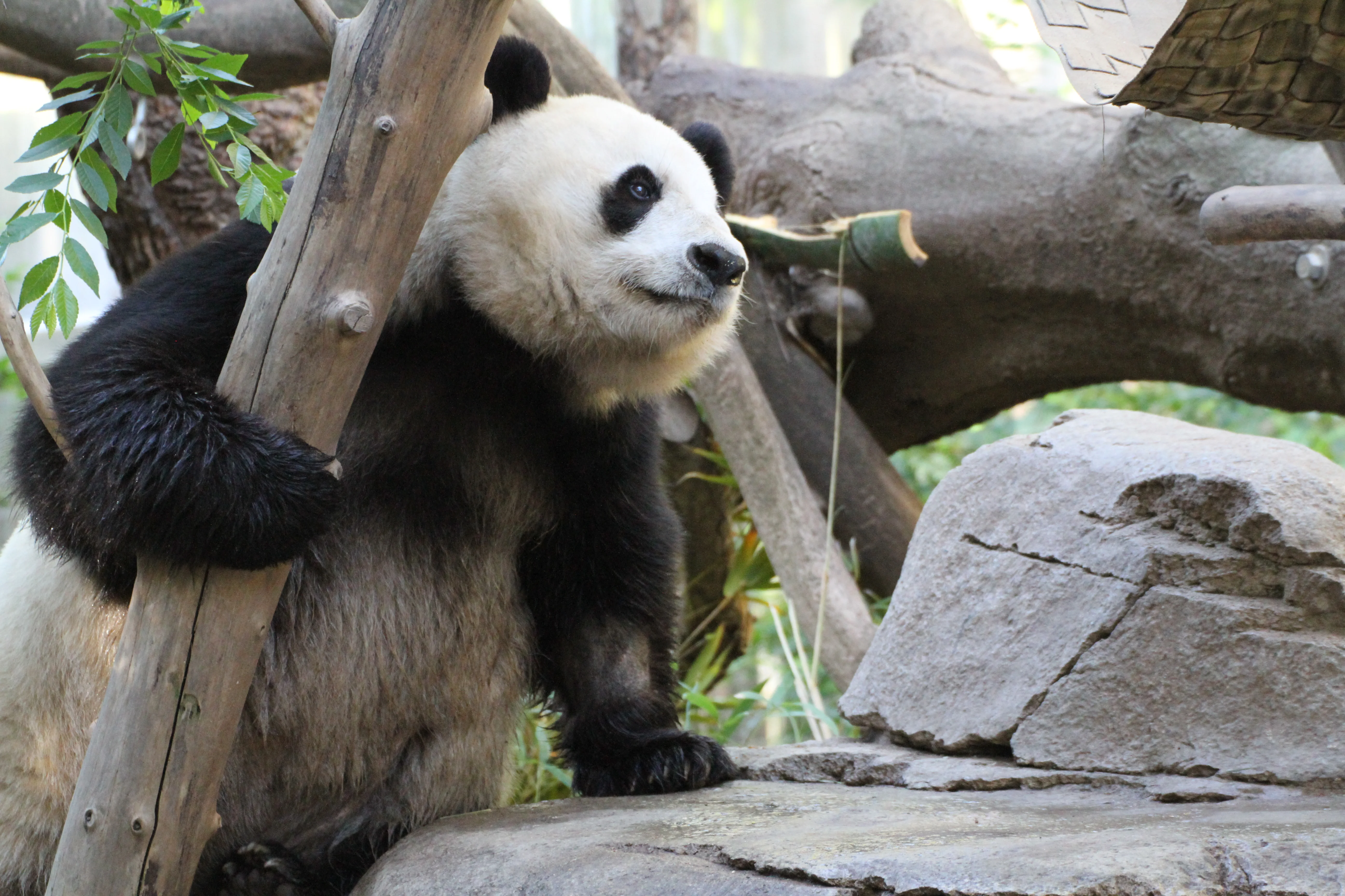 San Diego Zoo