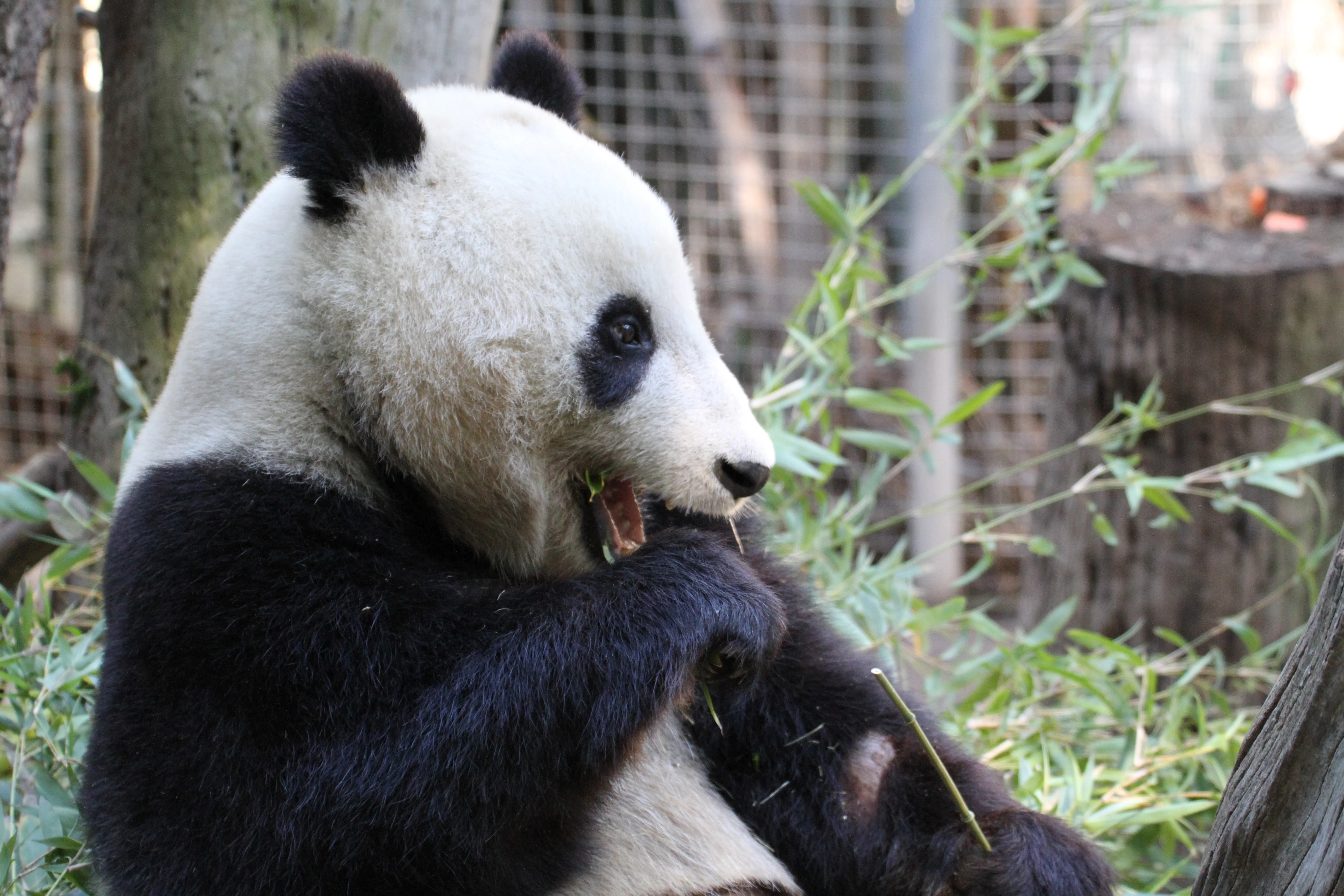 San Diego Zoo