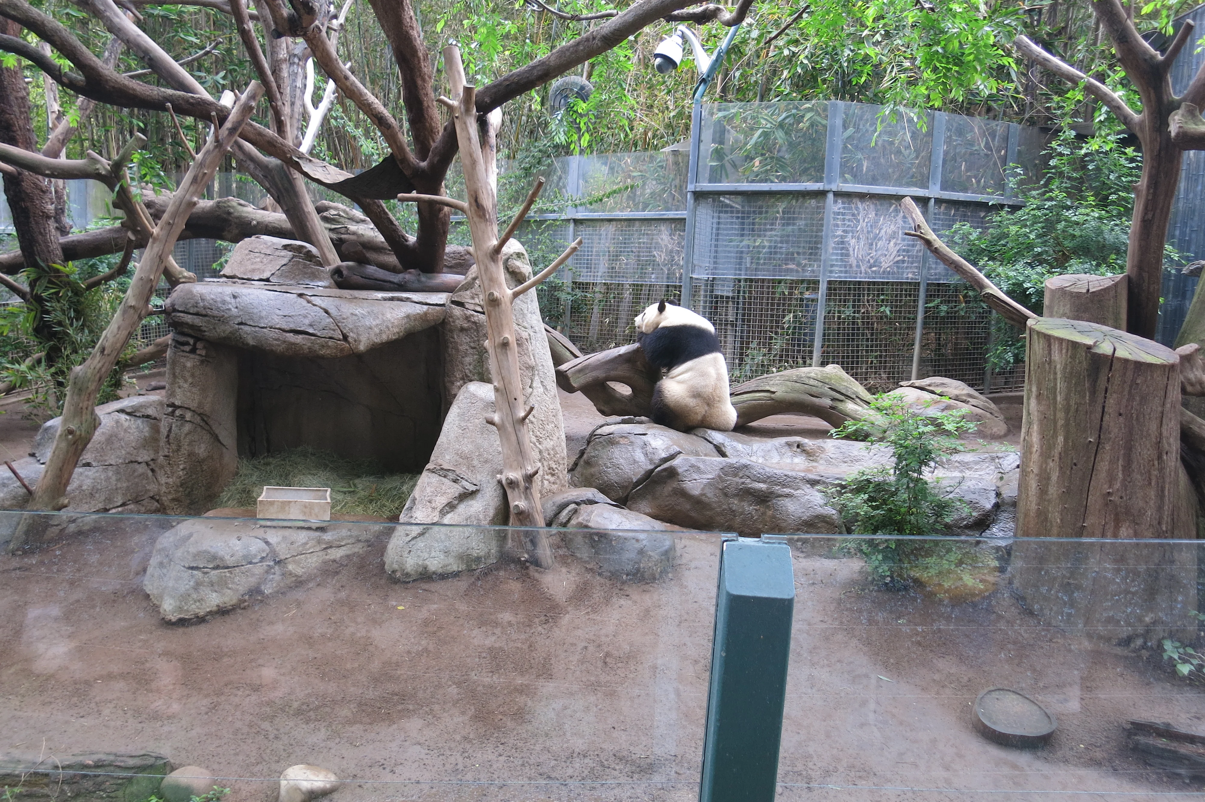 San Diego Zoo