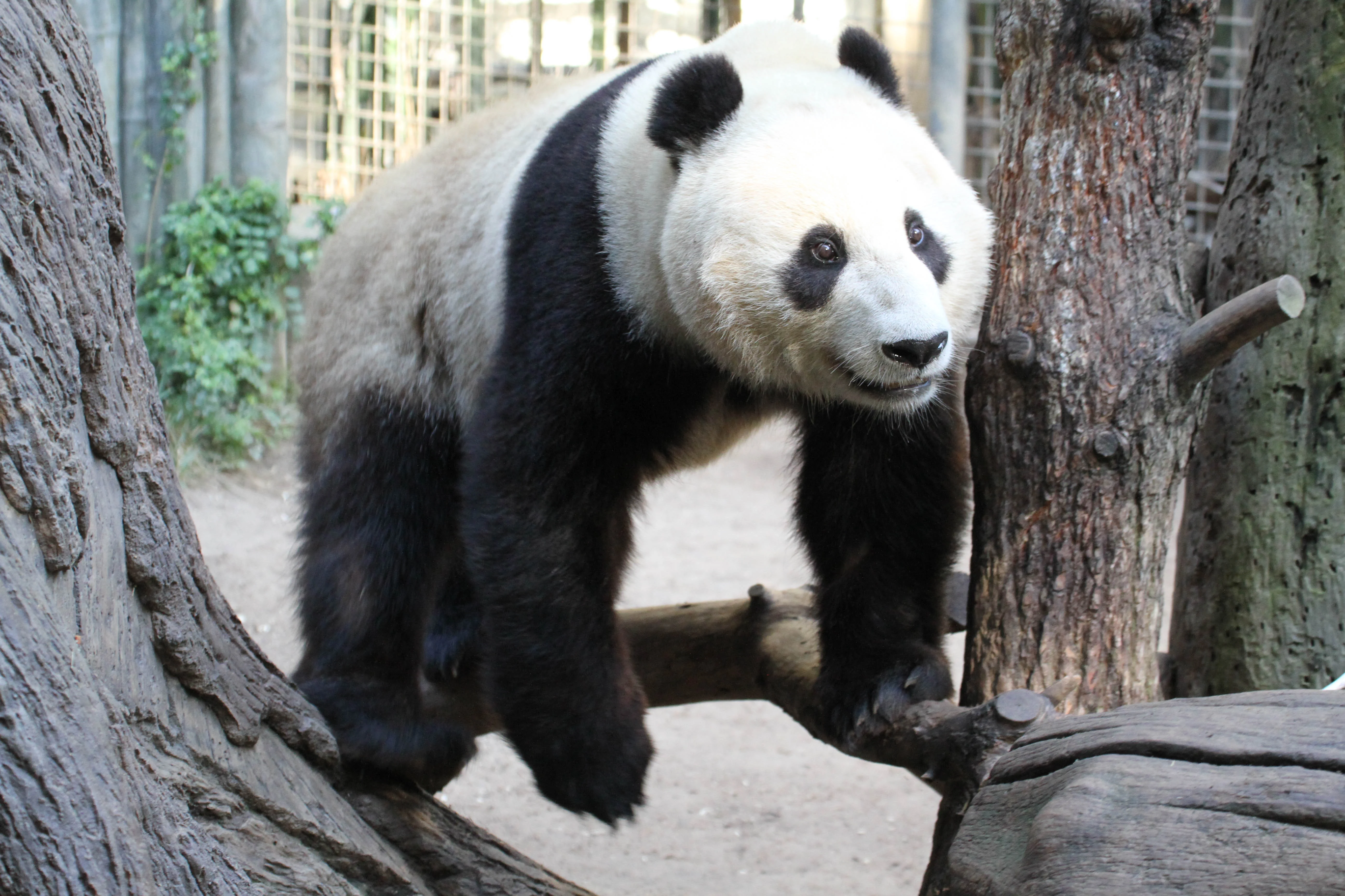 San Diego Zoo