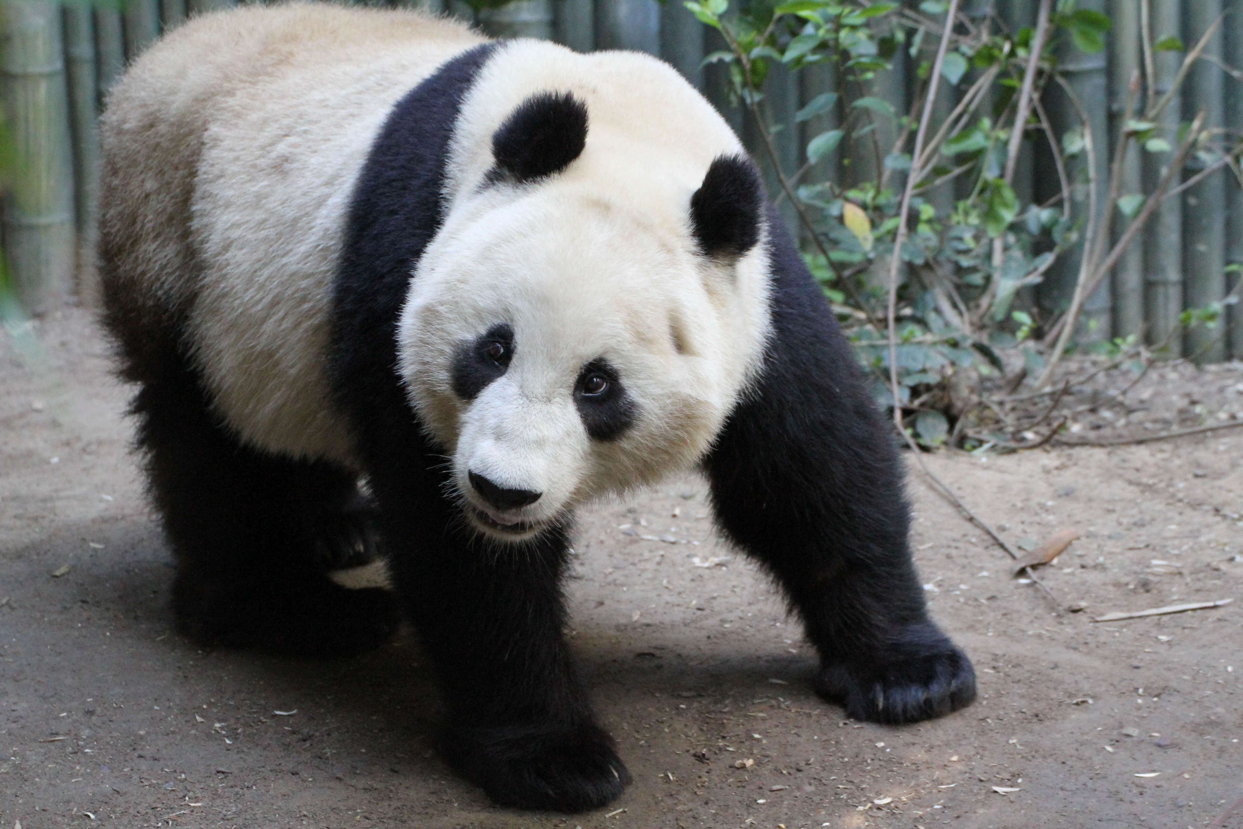 San Diego Zoo
