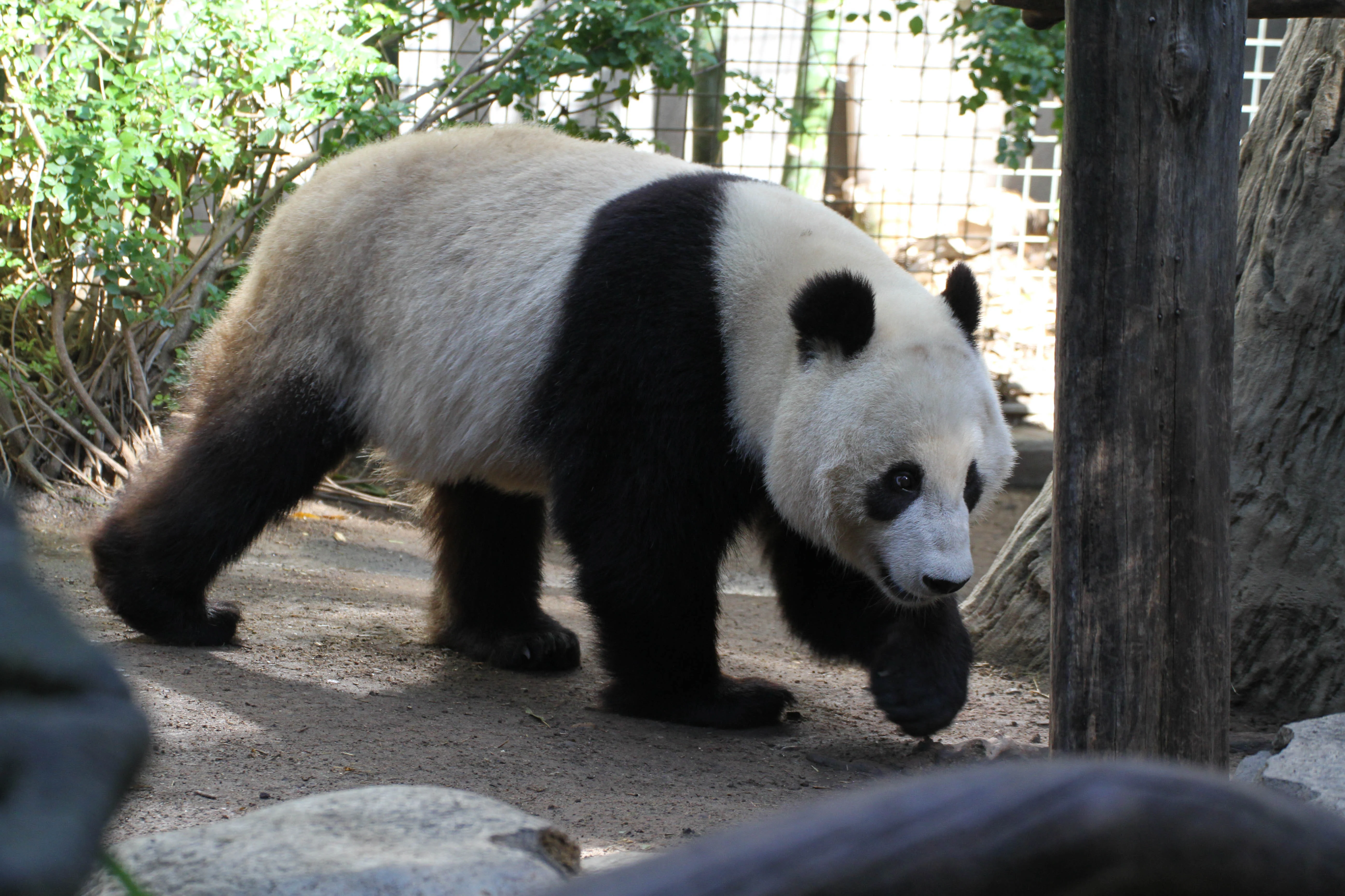 San Diego Zoo