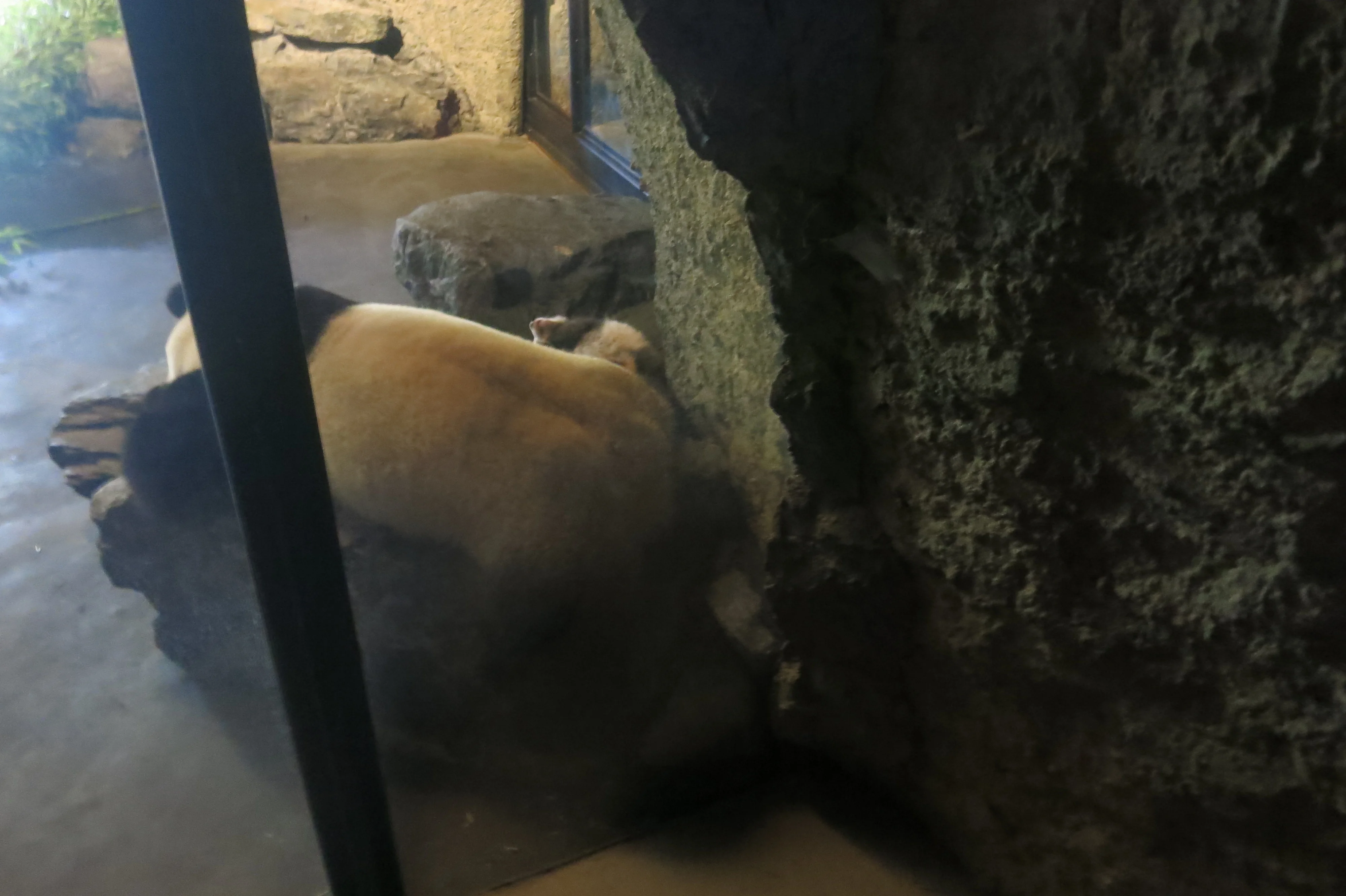 Pairi Daiza