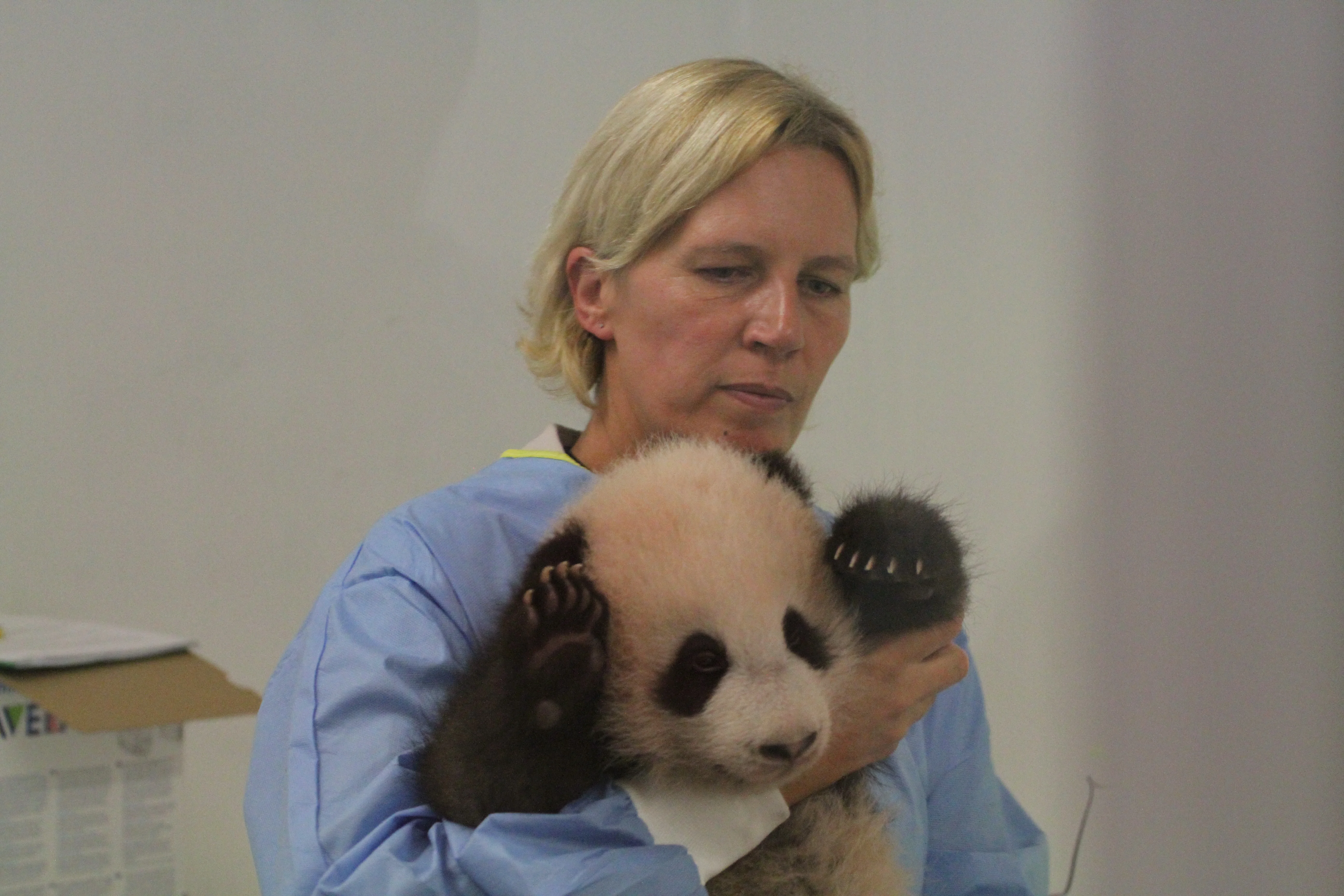 Pairi Daiza