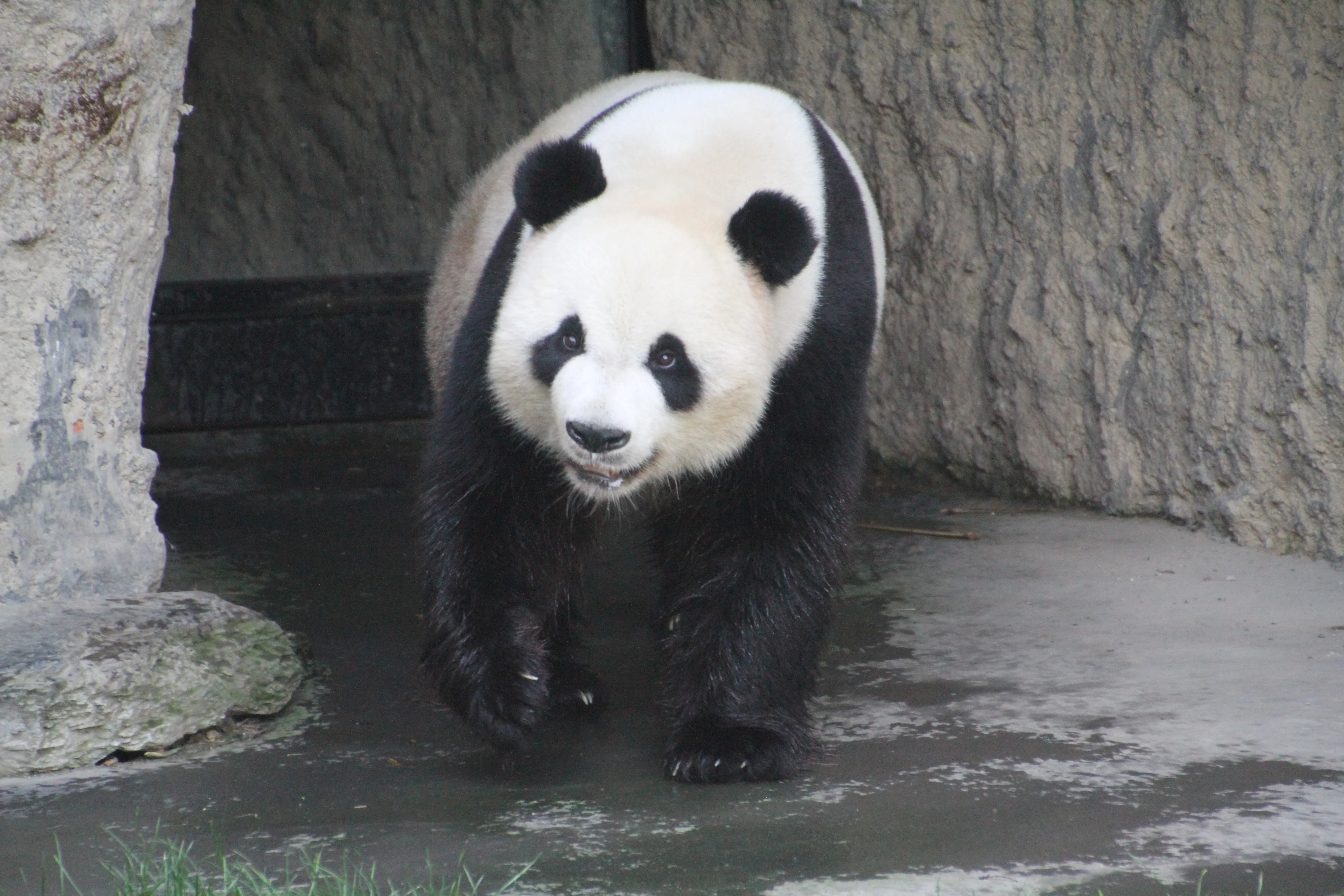 Pairi Daiza