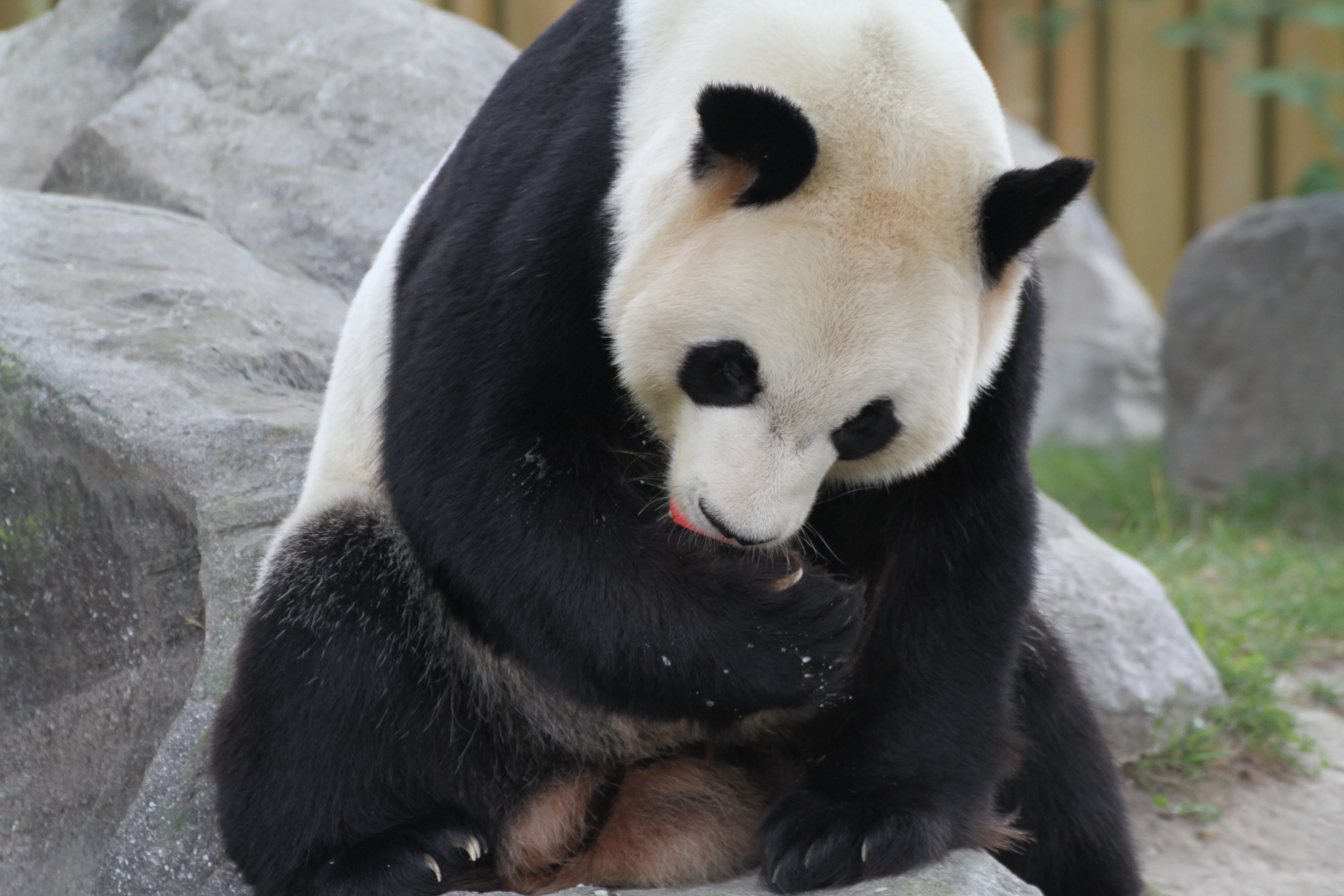 Toronto Zoo