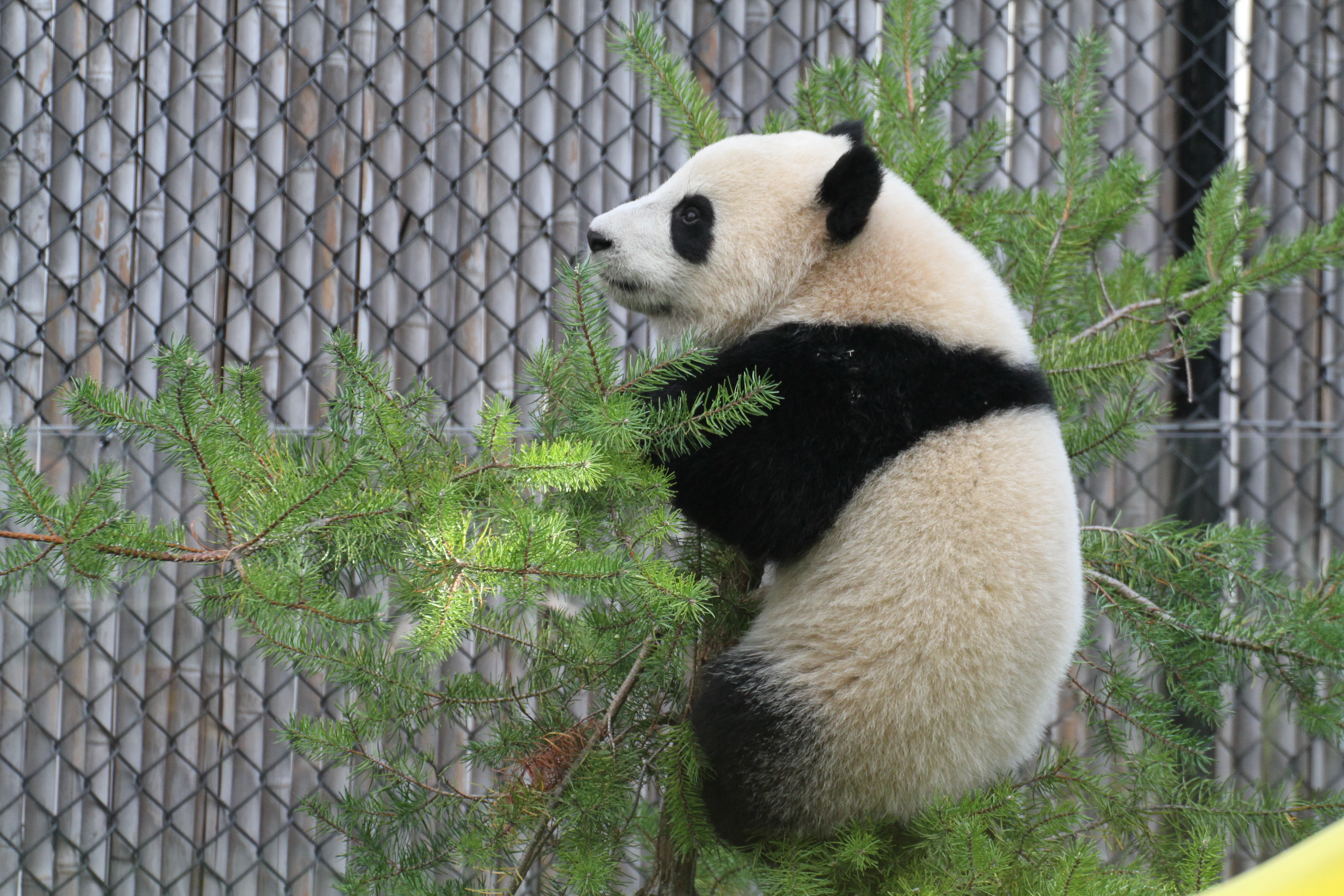 Toronto Zoo