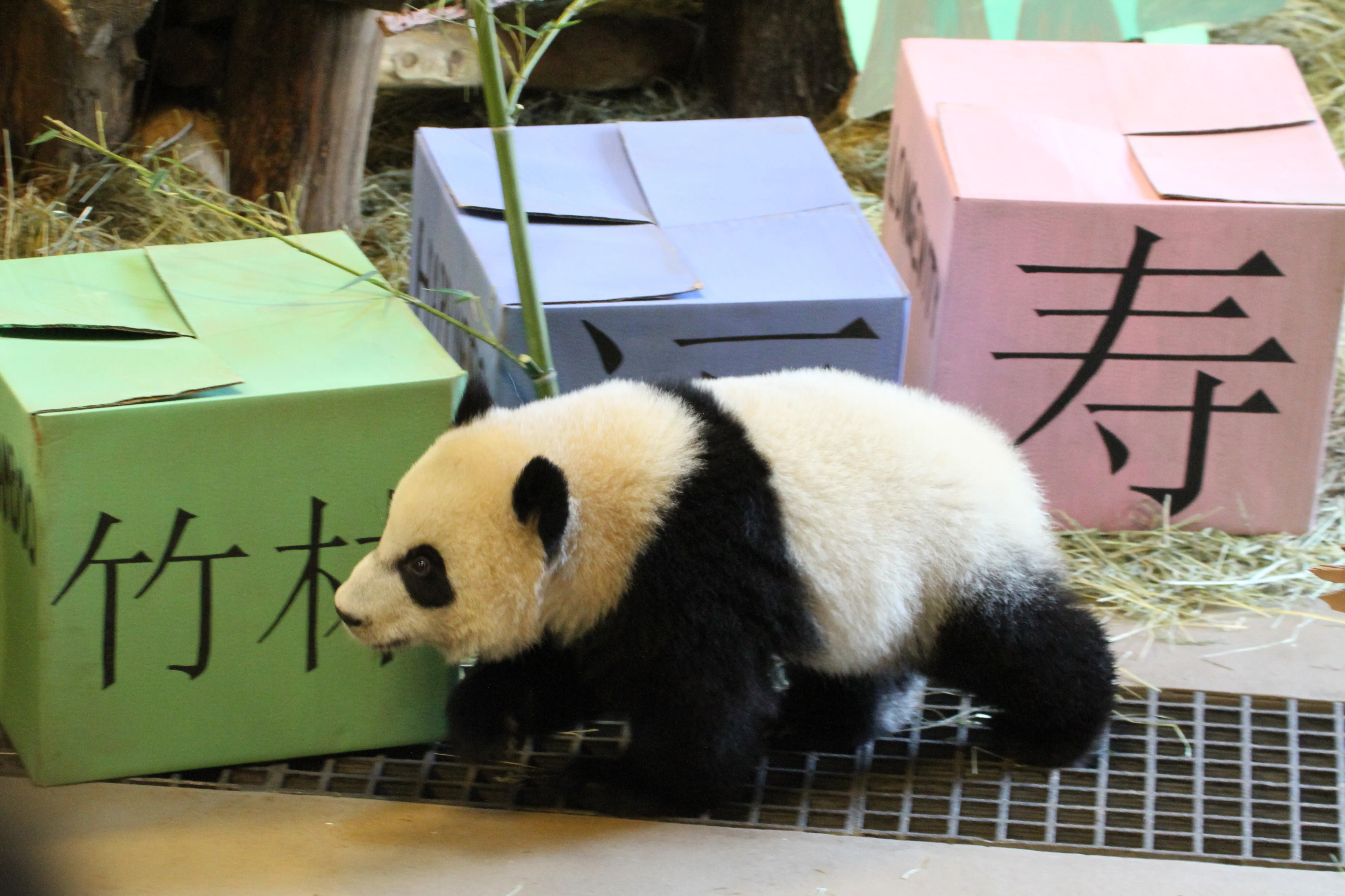 Toronto Zoo