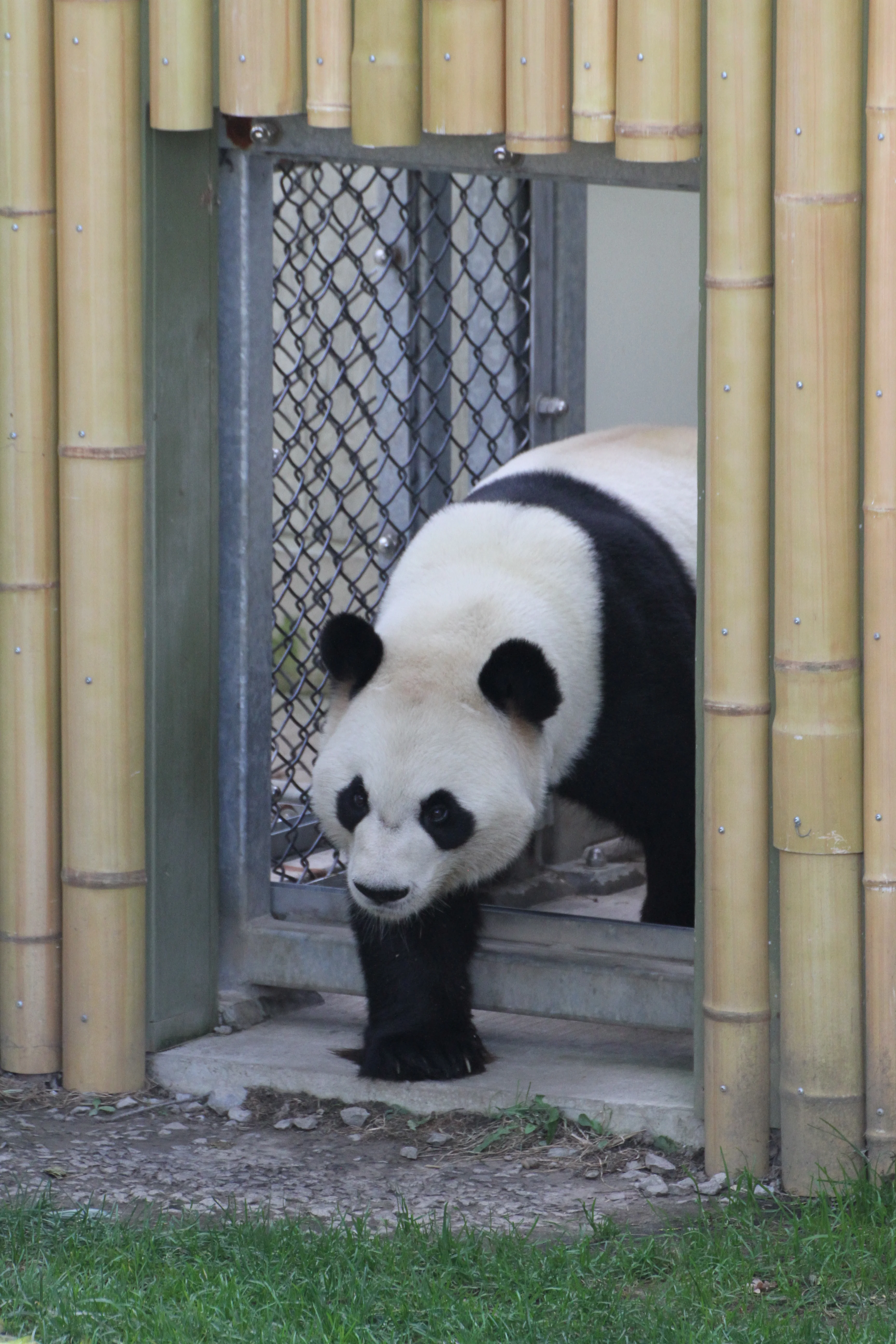Toronto Zoo