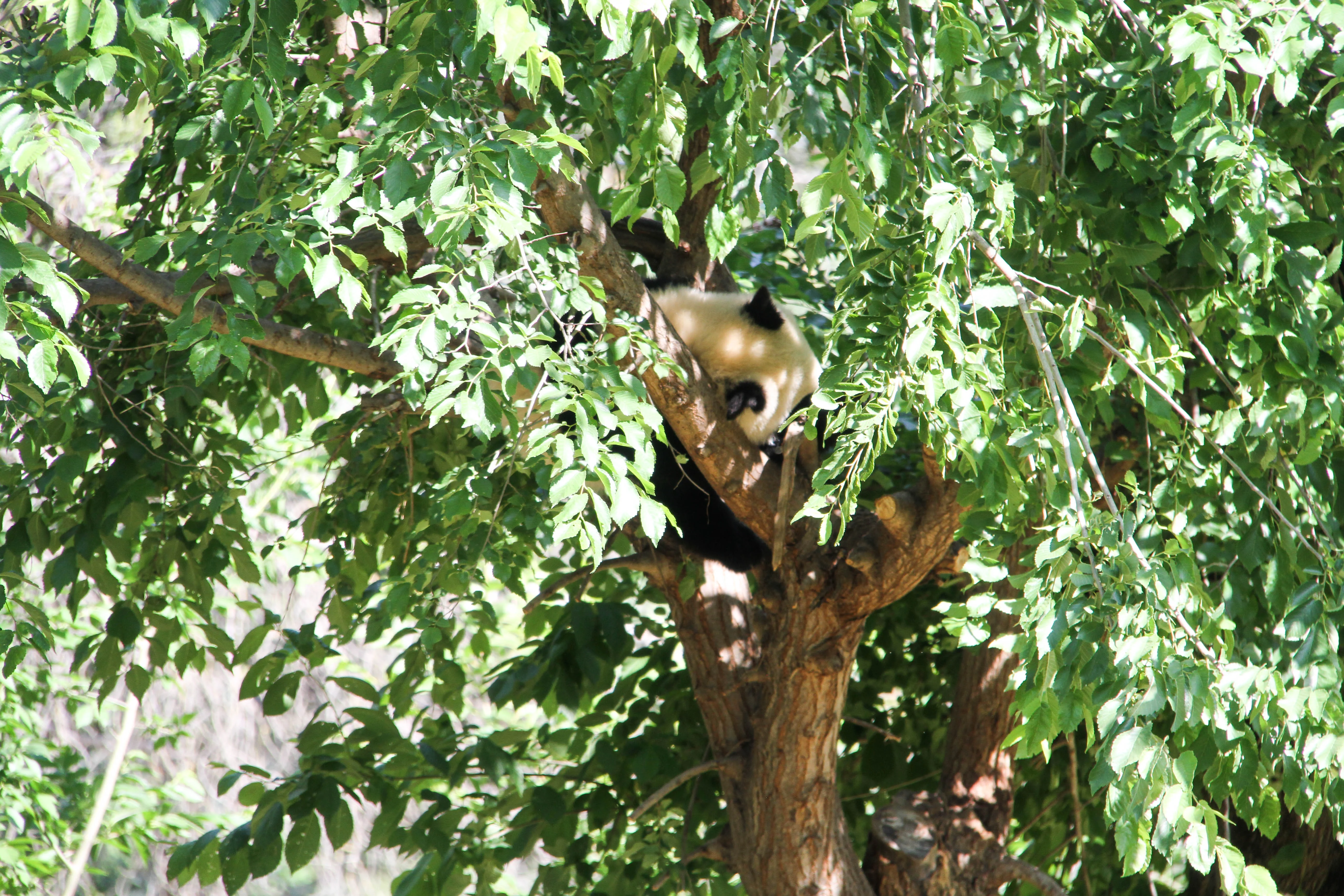Zoo Madrid