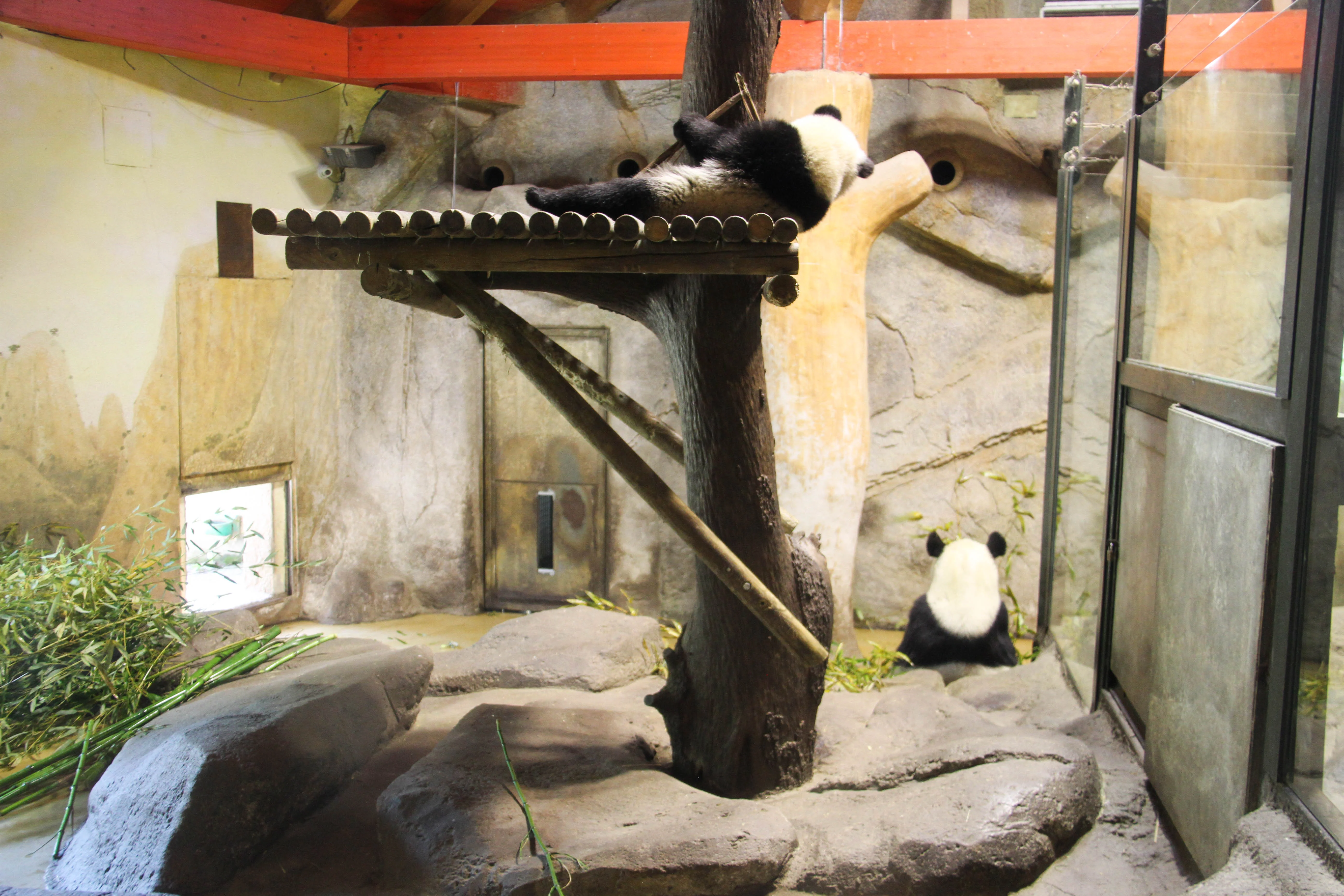 Zoo Madrid