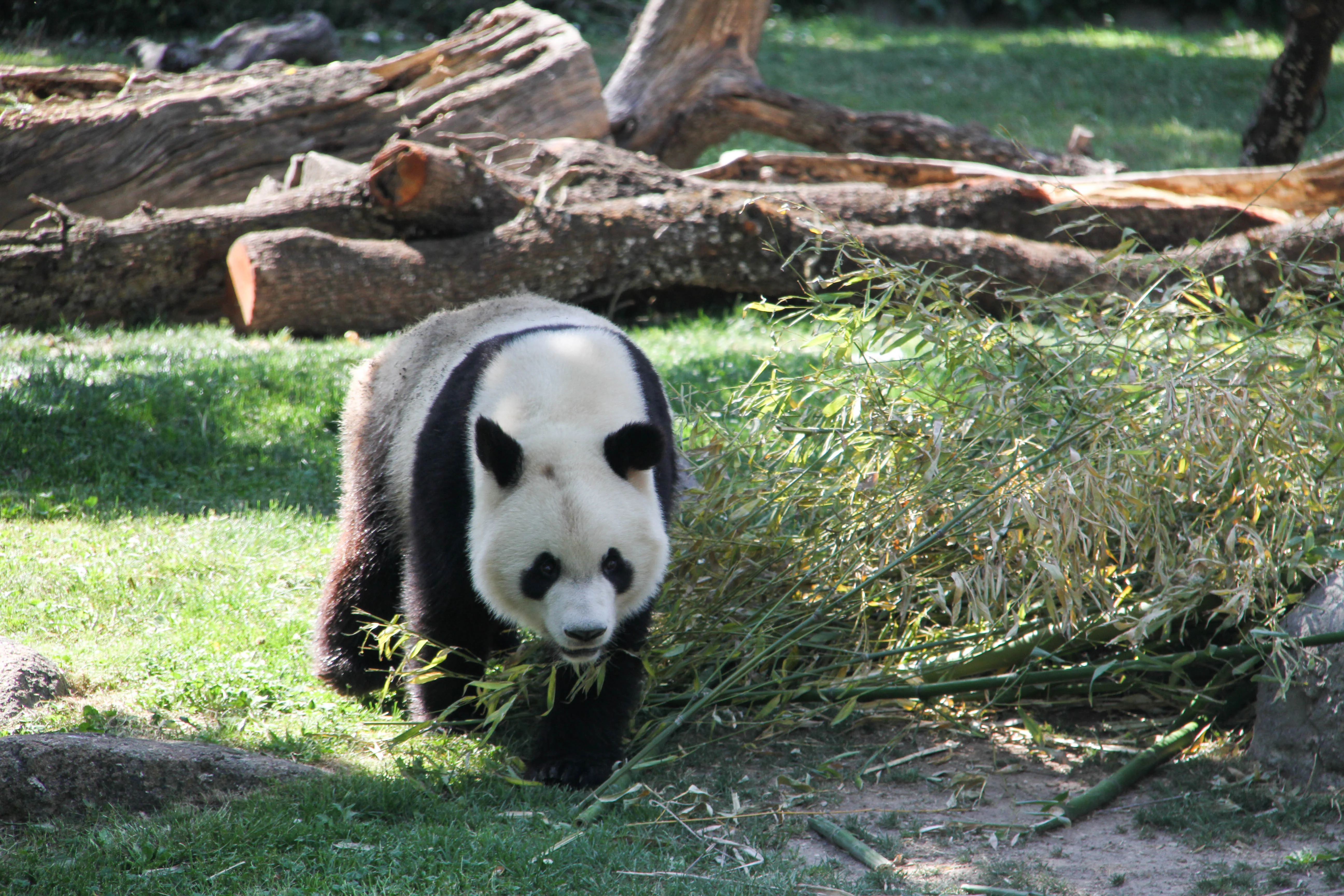 Zoo Madrid