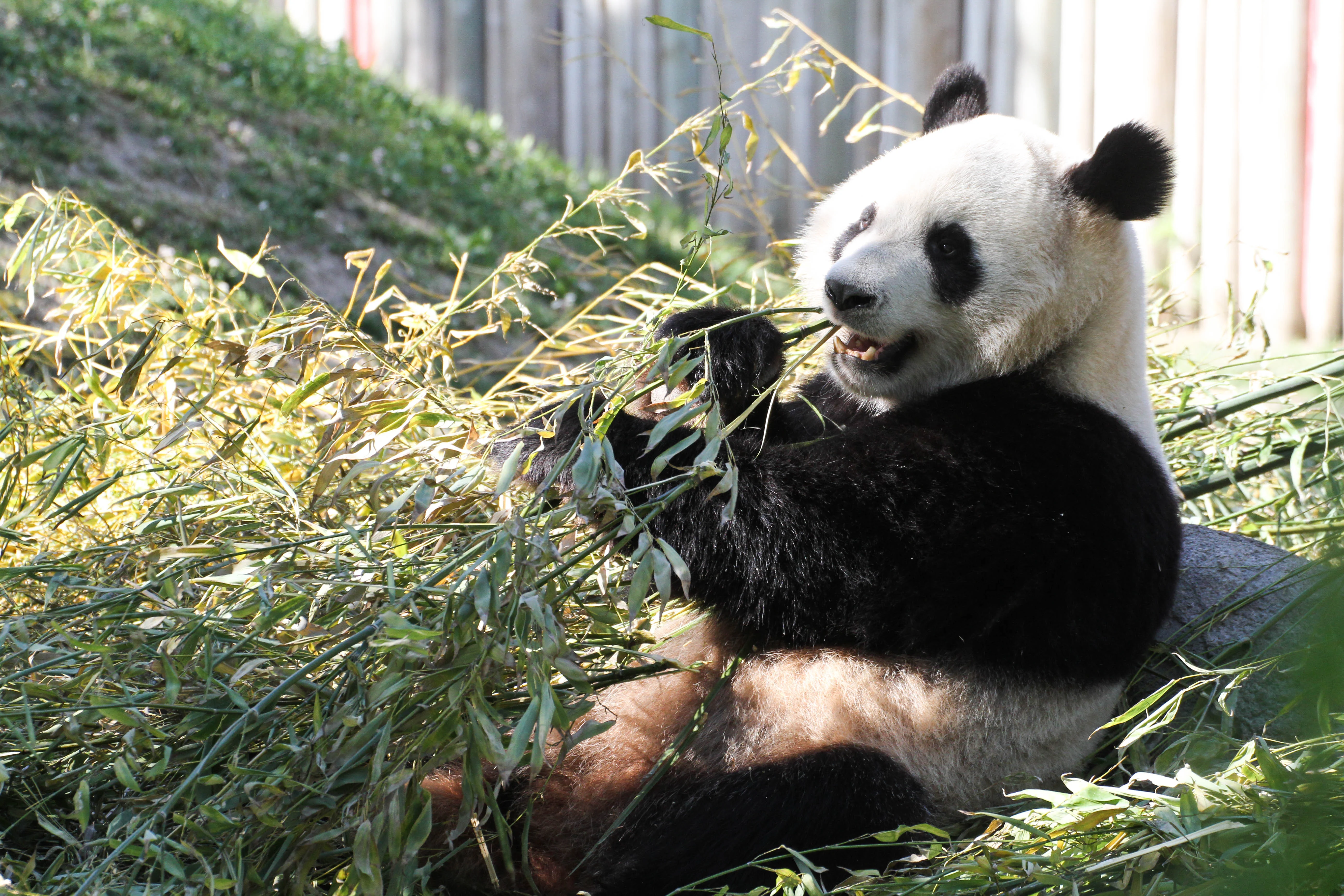 Zoo Madrid
