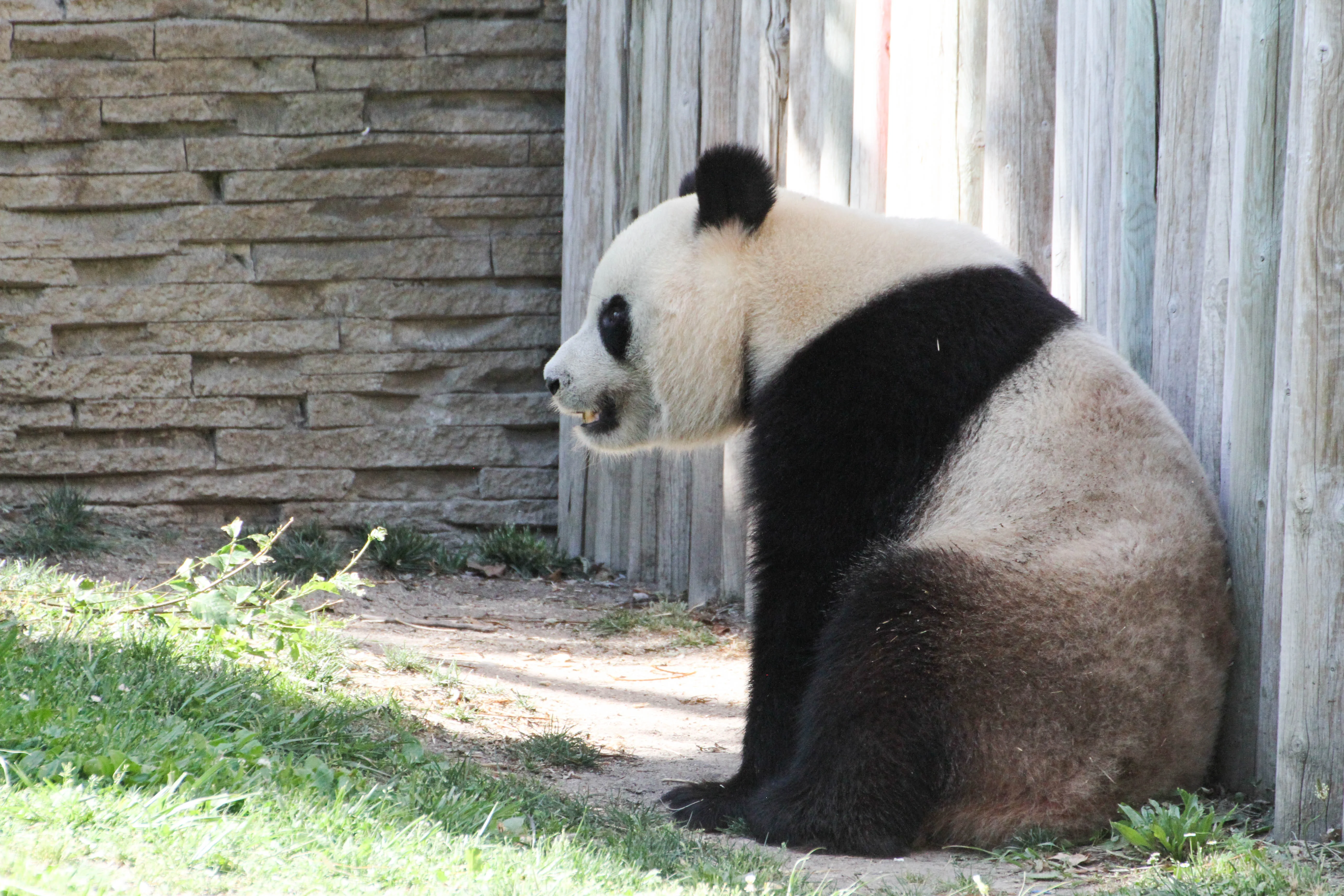 Zoo Madrid