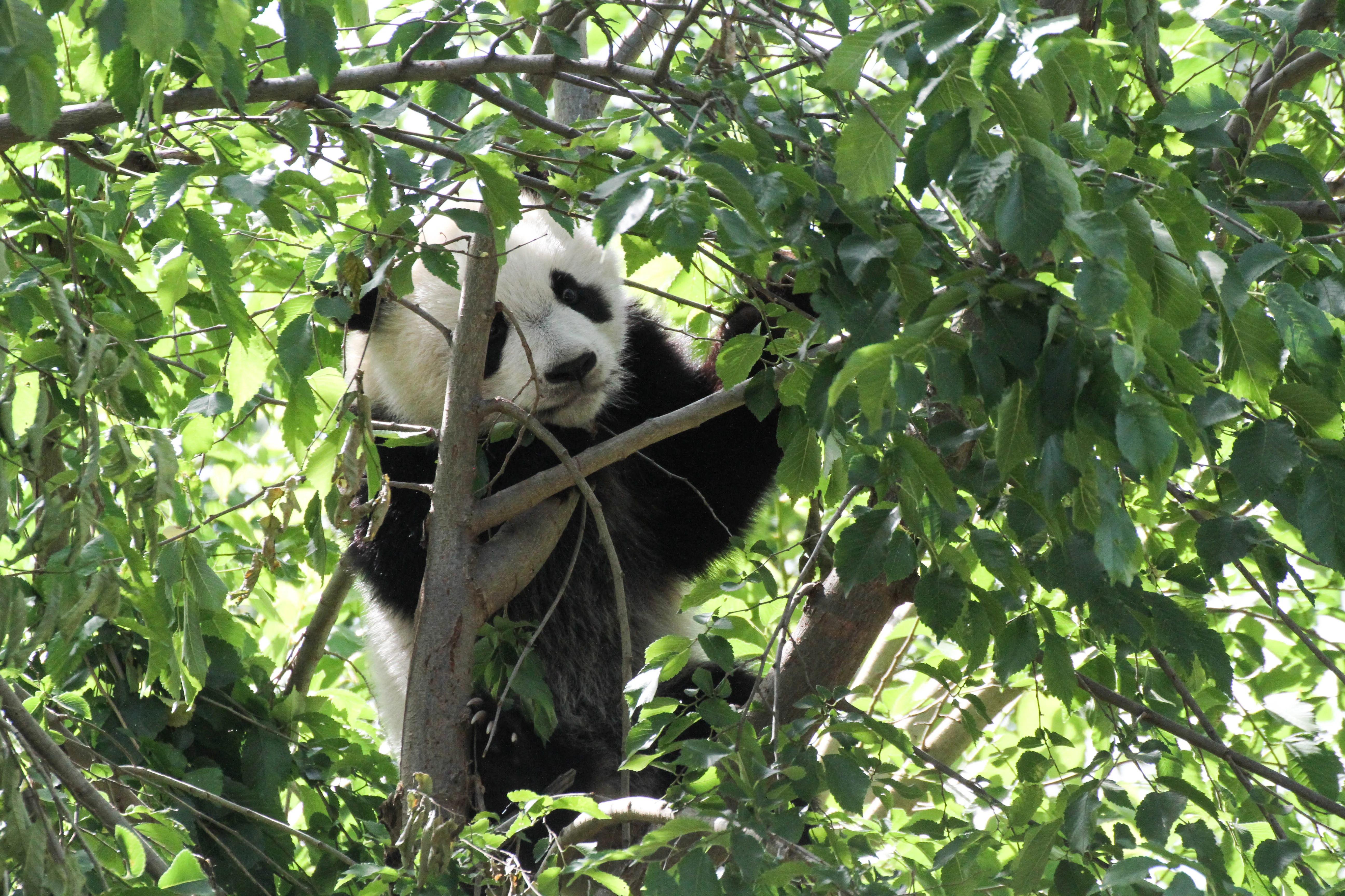 Zoo Madrid