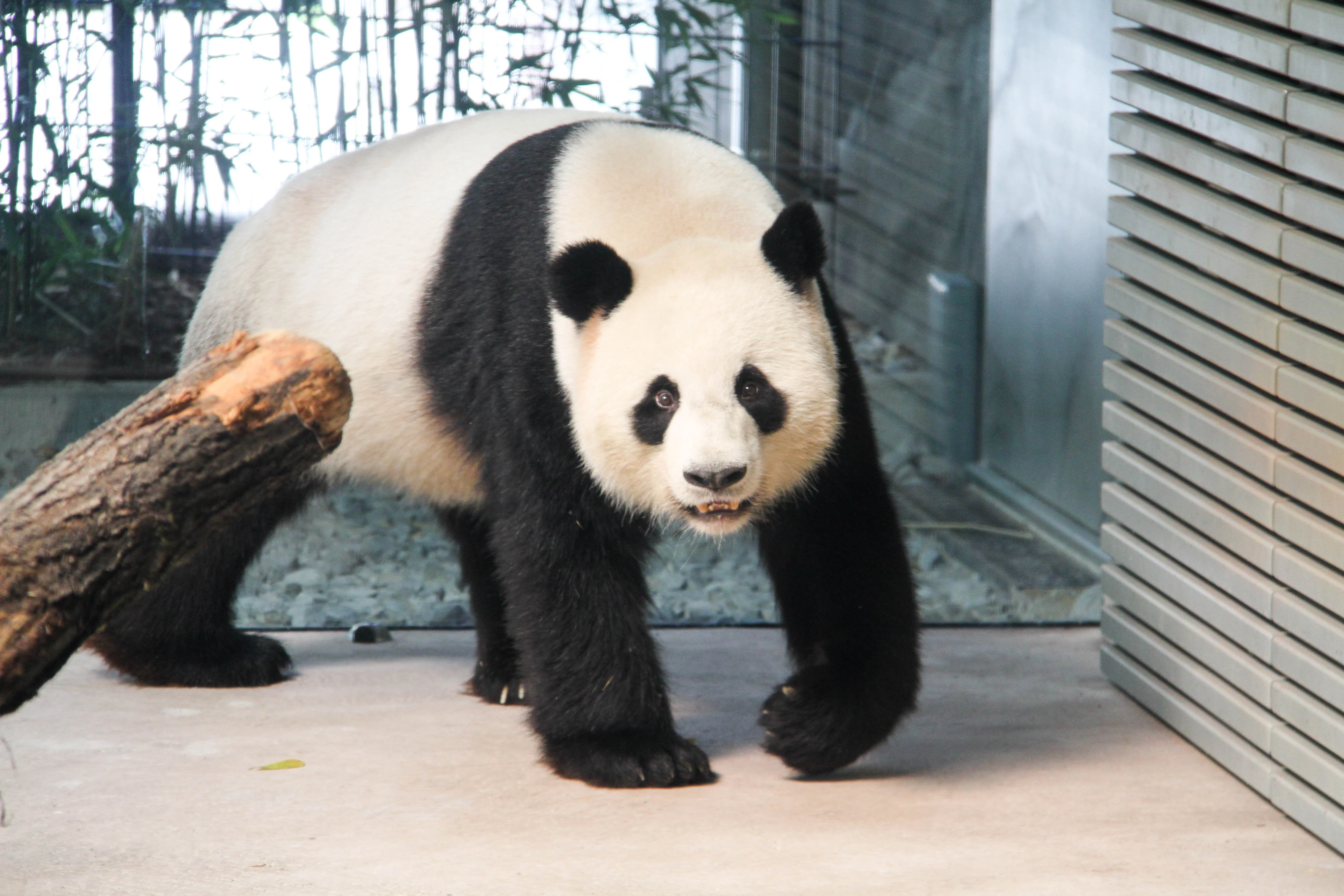 Zoo Berlin