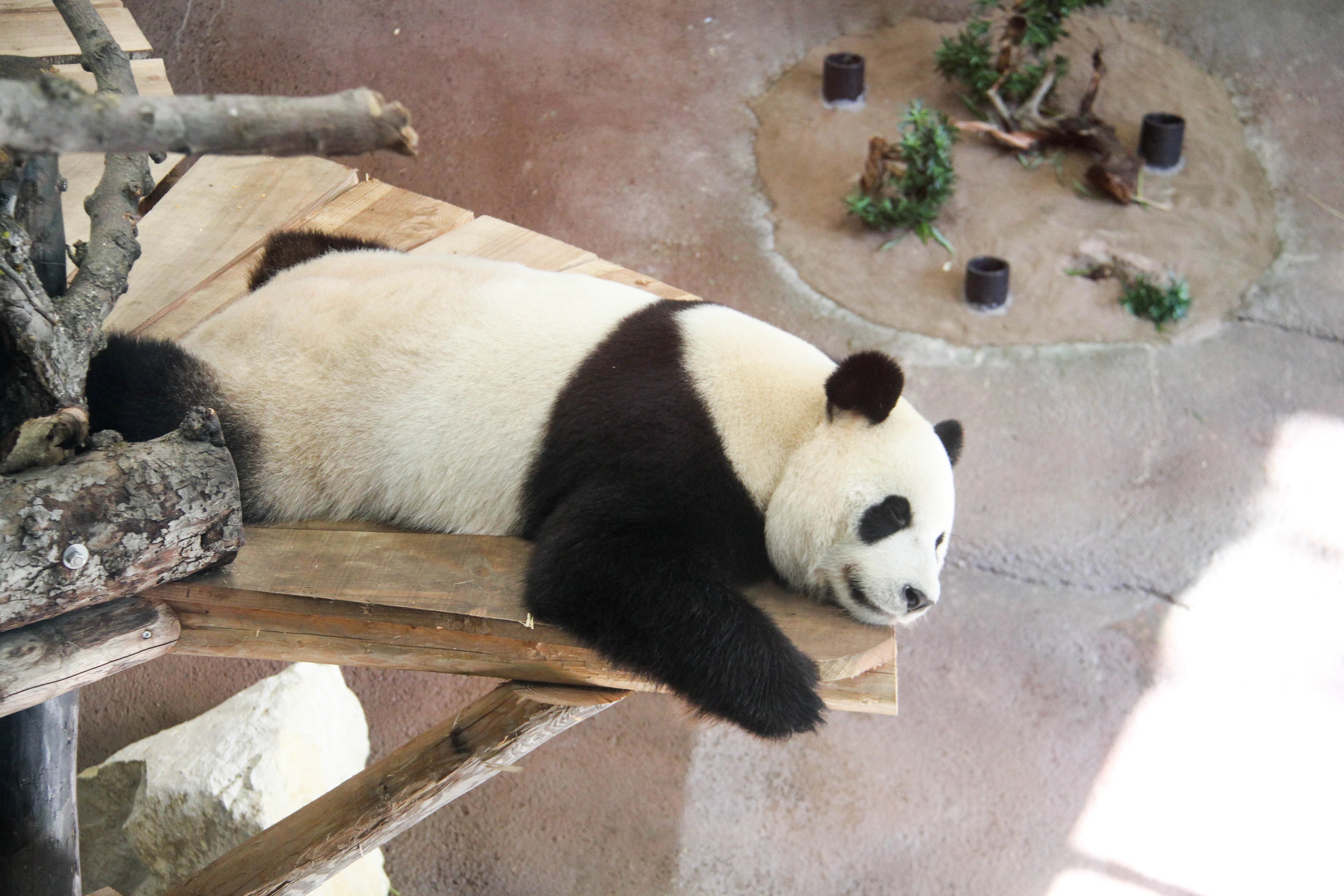 Ouwehands Dierenpark Rhenen