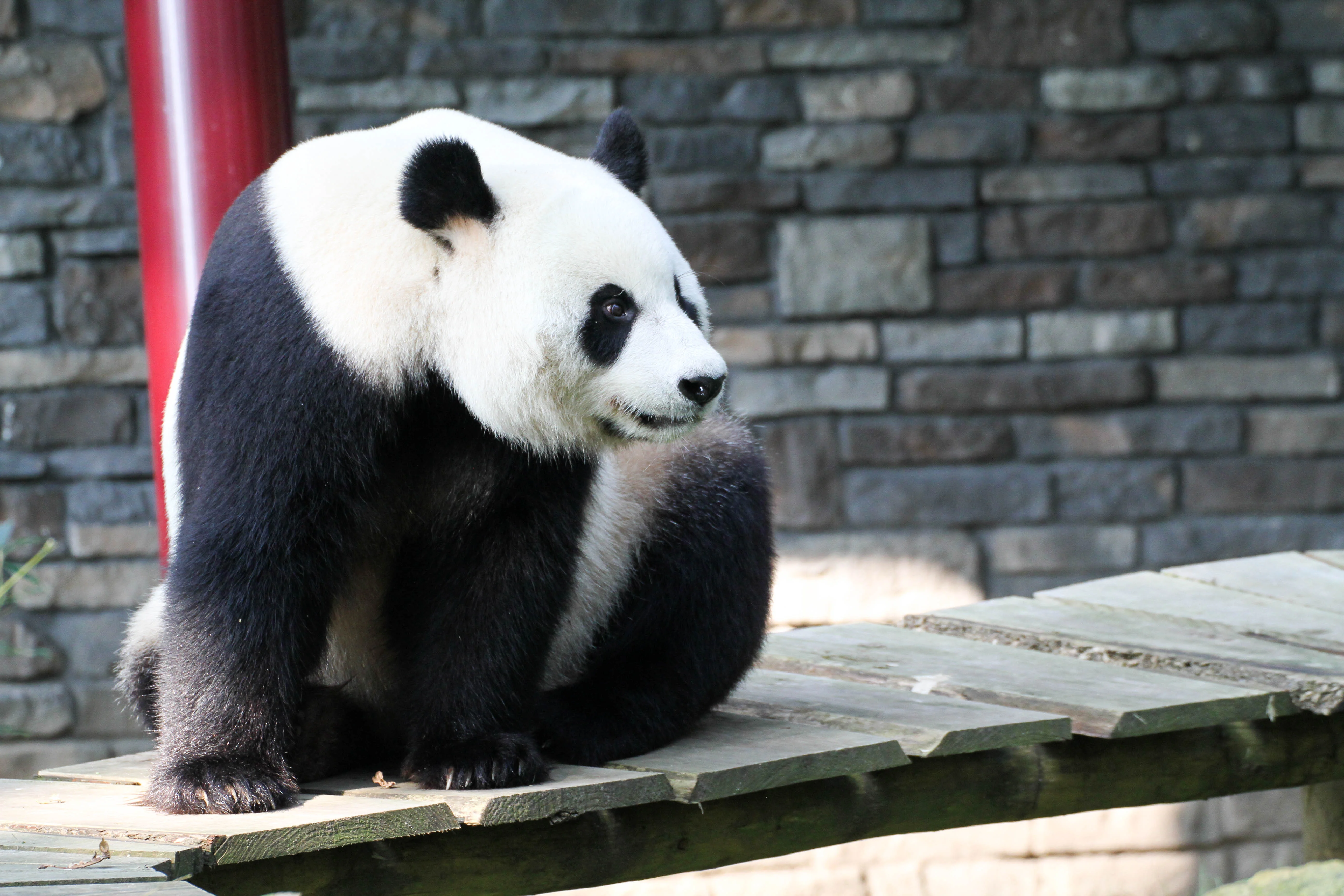 Ouwehands Dierenpark Rhenen