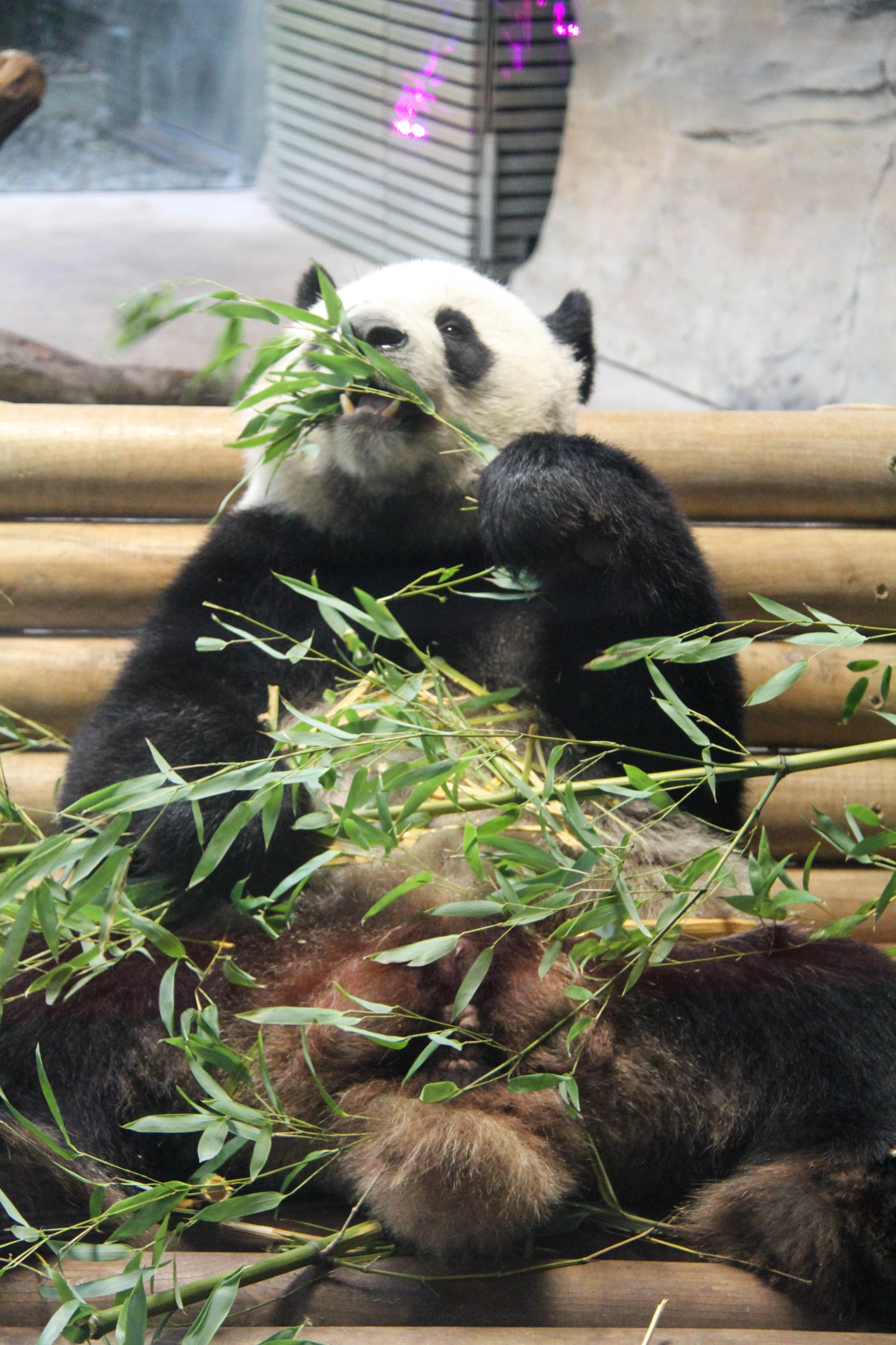 Zoo Berlin