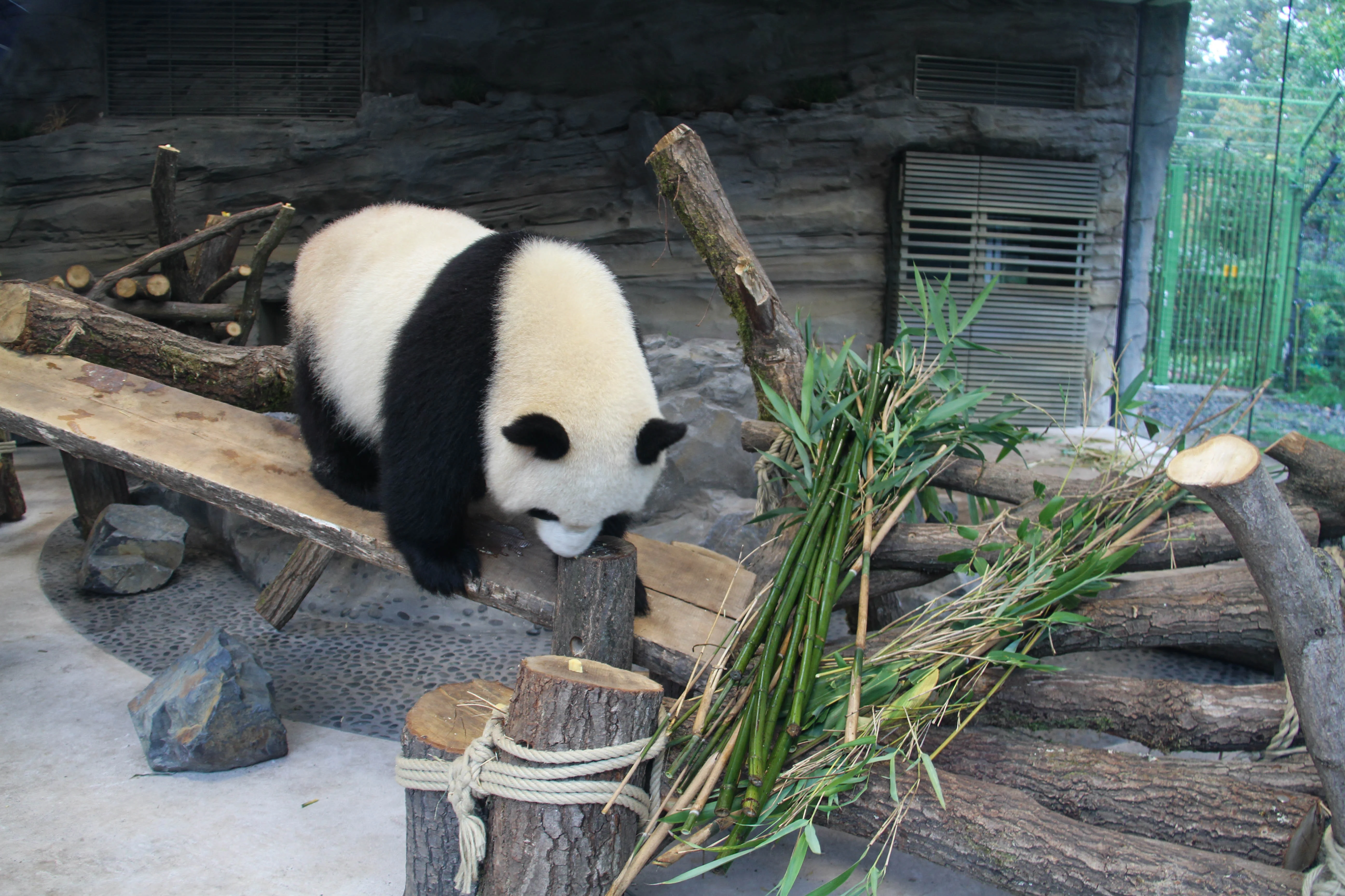 Zoo Berlin